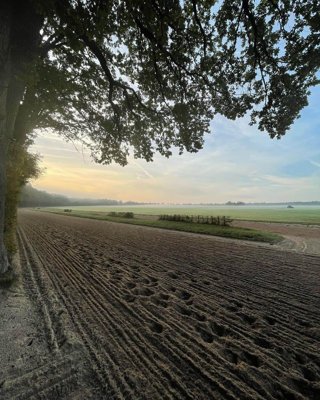 のインスタグラム：「Beautiful morning at Les Aigles training center ( Chantiily) . 🤩🤩#quatarprixdelarcdetriomphe」