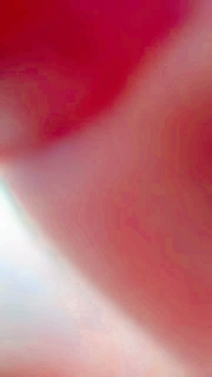 関智一のインスタグラム