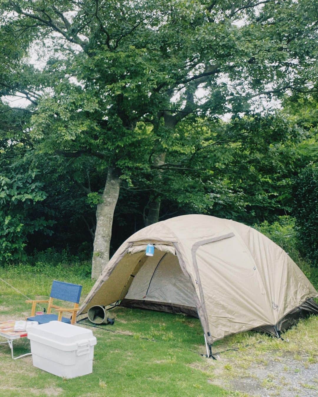 のインスタグラム：「. キャンプ欲🦎🕸️🐻🌲 . #camp #camping #autocamp  #solocamp #groupcamp #outdoor  #autumn #fall #campseason」