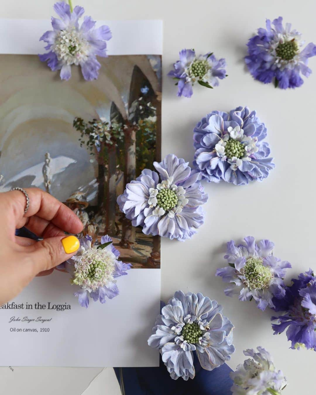 청담 수케이크 (atelier soo)さんのインスタグラム写真 - (청담 수케이크 (atelier soo)Instagram)「ㅡ 🩵💙 Scabiosa   #scabiosa  #buttercream」9月27日 15時42分 - soocake_ully