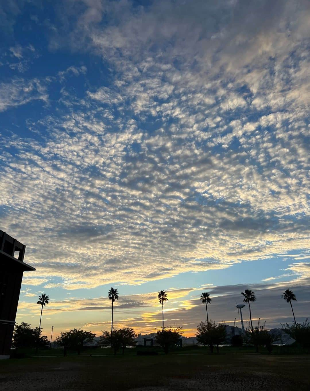 神戸学院大学さんのインスタグラム写真 - (神戸学院大学Instagram)「フォトコンテスト「神院大キャンパスライフの魅力」応募作品No.325【2023年7月－9月】経営学部3年次生の山川大輝さんからご応募いただきました。  ～写真にまつわるエピソード～ 夕方学校に来た時に、夕暮れがとても綺麗で学校の木がアクセントになっていていいなと思い撮りました。 ～～～～～～～～～～～～  上空に現れた”いわし雲”が幻想的な夕暮れ時のキャンパス⛅ 広がる空を見上げて秋の到来を感じてみるのもいいですね！  皆さんもキャンパスの魅力が伝わる写真を撮影して、ぜひフォトコンテストに応募してみてください📷🍀  フォトコンテスト7月～9月は9月30日までご応募いただけます★ ↓詳しい応募方法は以下のURLから↓ https://www.kobegakuin.ac.jp/support/student_life/contest.html  スマホ写真OK！！  ・普段はなかなか伝えることができない「ゼミでの様子」 ・ボランティアや部活動など課外活動で活躍する「仲間の勇姿」 ・キャンパスでたまたま撮れた「奇跡の1枚」 ・授業が終わった後に友達と過ごす「なにげない時間」  素敵な写真が撮れたら広報グループ（koho@j.kobegakuin.ac.jp）まで！  #神戸学院大学 #神戸学院 #神戸 #大学 #kobegakuin #kobegakuinuniversity #ポーアイ #ポートアイランド #大学生 #ポートアイランドキャンパス #しおさい公園 #空 #いわし雲 #キャンパスライフ #学生生活 #写真 #写真コンテスト #フォトコンテスト #フォトコン #フォトコンテスト開催中 #ファインダー越しの私の世界 #キャンパスフォト #フォト #写真部 #大学の景色 #空が好きな人と繋がりたい #写真好きな人と繋がりたい」9月27日 16時08分 - kobegakuin_university_koho