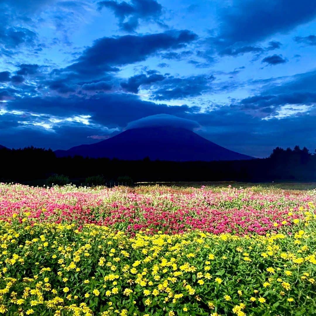 依田司さんのインスタグラム写真 - (依田司Instagram)「9月27日（水） 富士山の春の風物詩【富士芝桜まつり】でお馴染みの富士本栖湖リゾートでは、現在、今年で２回目となる【虹の花まつり】が開催中。 イエロー、レッド、ピンク、オレンジといった様々なカラーのジニアと、黄橙色の花に芯のグリーンのコントラストが美しいルドベキア プレーリーサンなど、１５品種の花々が色彩豊かに富士の麓を彩っています。写真映えスポットやワンハンドフードも充実。お隣には、ピーターラビットのイングリッシュガーデンもあります。 10月15日（日）まで。  #富士本栖湖リゾート #Righton #ライトオン #依田さん #依田司 #お天気検定 #テレビ朝日 #グッドモーニング #気象予報士 #お天気キャスター #森林インストラクター #グリーンセイバーアドバンス #プロジェクトワイルド #IPCC伝導者 #japan #japantrip #japantravel #unknownjapan #japanAdventure #japanlife #lifeinjapan #instagramjapan #instajapan #療癒 #ilovejapan #weather #weathercaster #weatherforecast」9月27日 9時19分 - tsukasa_yoda