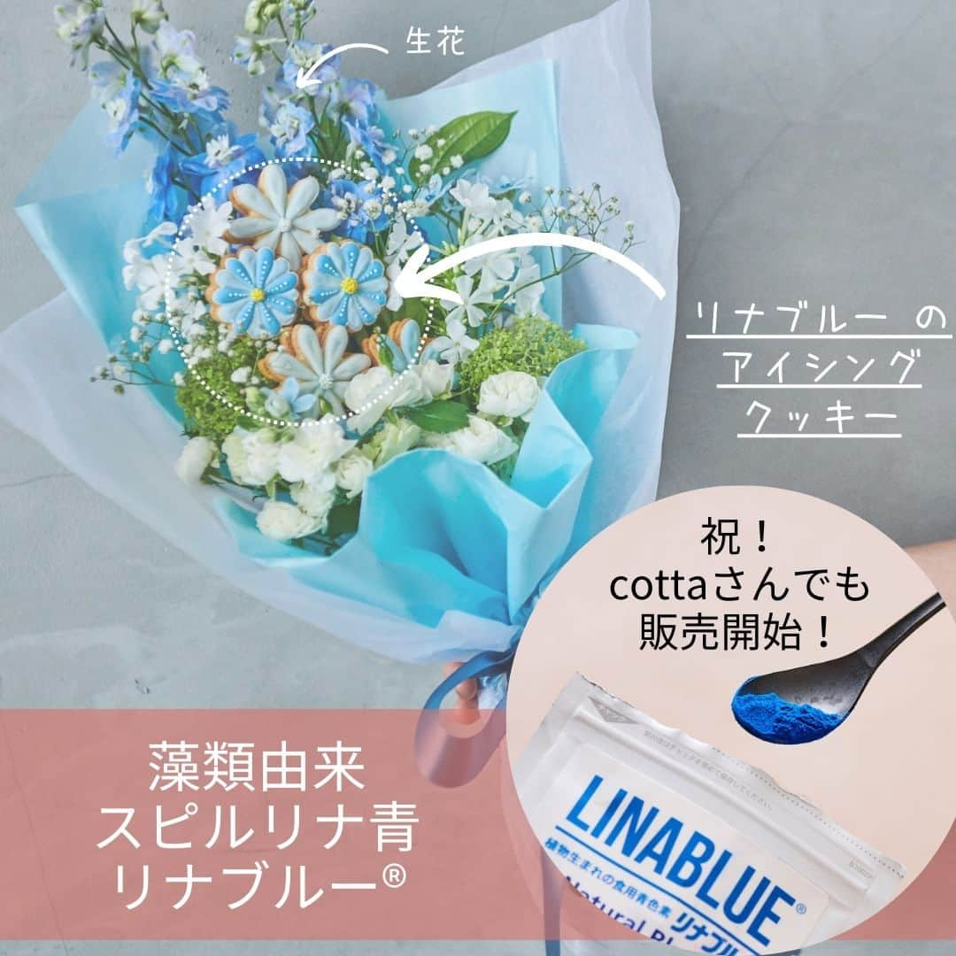 スピルリナのDICライフテック株式会社のインスタグラム：「実は✨・・・数か月前から@cotta_corecle さんでもリナブルーをお取り扱い頂いております🥰  これで直接リナブルーを購入できる公式お取り扱い先は、弊社オンラインショップと合わせて２か所になりました~💙  ナチュラルな青でありながら驚くくらい鮮やかで美しい青・・さらに多くの皆さんに楽しんで頂けると嬉しいなと思っております💙 よろしくお願い致します。  #spirulina #linablue #blue #foodcolors #phycocyanin #スピルリナ #スピルリナ青 #リナブルー #フィコシアニン #推しカラー」