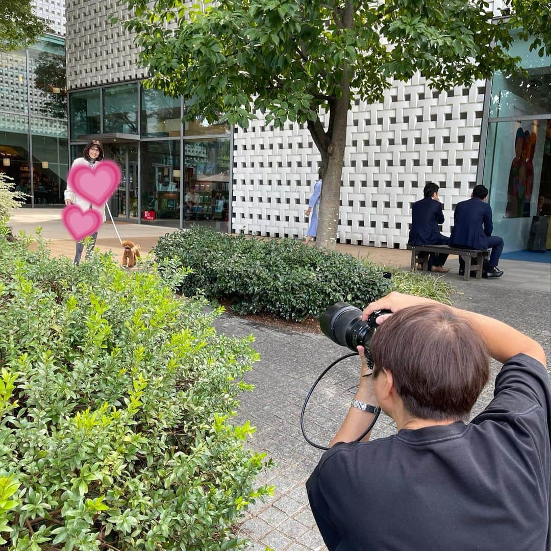 柏木由紀子さんのインスタグラム写真 - (柏木由紀子Instagram)「第二弾の本の撮影も佳境！昨日は20カット以上撮りました。年内発売できればと思っていますのでお楽しみに！ ご期待ください！  昨夜は写真のような ソフトクリームが無性に食べたかったのですが 疲労困憊で余力なく冷凍庫のとっておきハーゲンダッツをご褒美に。  季節の変わり目、みなさまご自愛ください！  　  #柏木由紀子ファッションクローゼット 好評発売中！ #楽天ブックスファッション部門1位獲得 #発売前重版 #坂本九音楽事務所 #坂本九 #坂本九柏木由紀子 #シニアファッション #シニア世代のファッション番長 #75歳 #70代コーディネート #60代コーディネート #50代コーディネート #柏木マダム #カシワギマダム #由紀子巻き #60代ヘアスタイル」9月27日 10時16分 - yukiko_kashiwagi