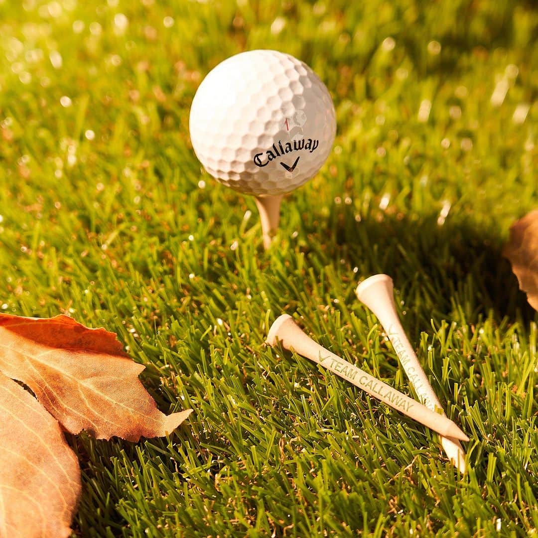 キャロウェイゴルフ（Callaway Golf）さんのインスタグラム写真 - (キャロウェイゴルフ（Callaway Golf）Instagram)「ようやく夏が終わりそうな気配がしてきましたね🍂   猛暑の中でのラウンドをお休みされていた方も、そろそろゴルフ再開ですね！ . . . #キャロウェイ #ゴルフ #秋」9月27日 12時00分 - callawaygolf_japan