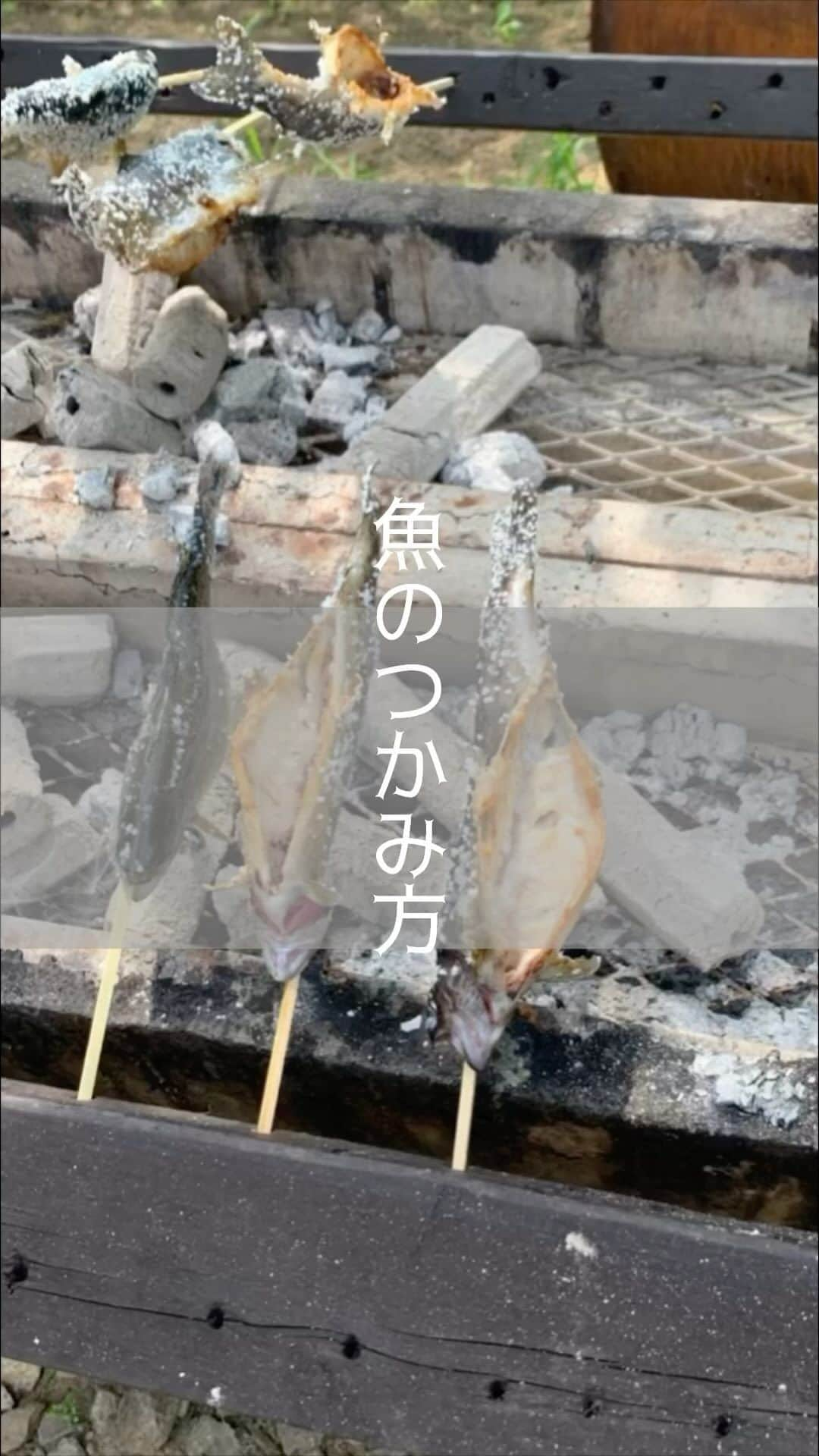 ツチと実のインスタグラム：「魚つかみの流れを紹介します🐟  よく聞かれるので、お魚券を渡すタイミングやいつはじめたらいいのか？取れないけどどうしたらいい？などまとめました。  いつやっても大丈夫です🙆‍♀️ お塩はいっぱいついてるイメージなのかつけすぎてしまう人がいるので、少しついてれば大丈夫です。おなかの中にも塩は手でぬってください。  焼く時間は15分くらいが目安です。魚を置いてぶどう狩りへ行ってしまうと丸焦げになるでご注意下さい⚠️  小さい子はずぶ濡れになる子も多いので着替えの用意があるといいと思います！  他に気になることがあったらコメント欄で聞いてください✨  #ツチと実 #山梨観光 #富士山が見える場所 #ぶどう狩り #シャインマスカット狩り #子どもの体験 #japangrapes #japansightseeing #mtfuji」