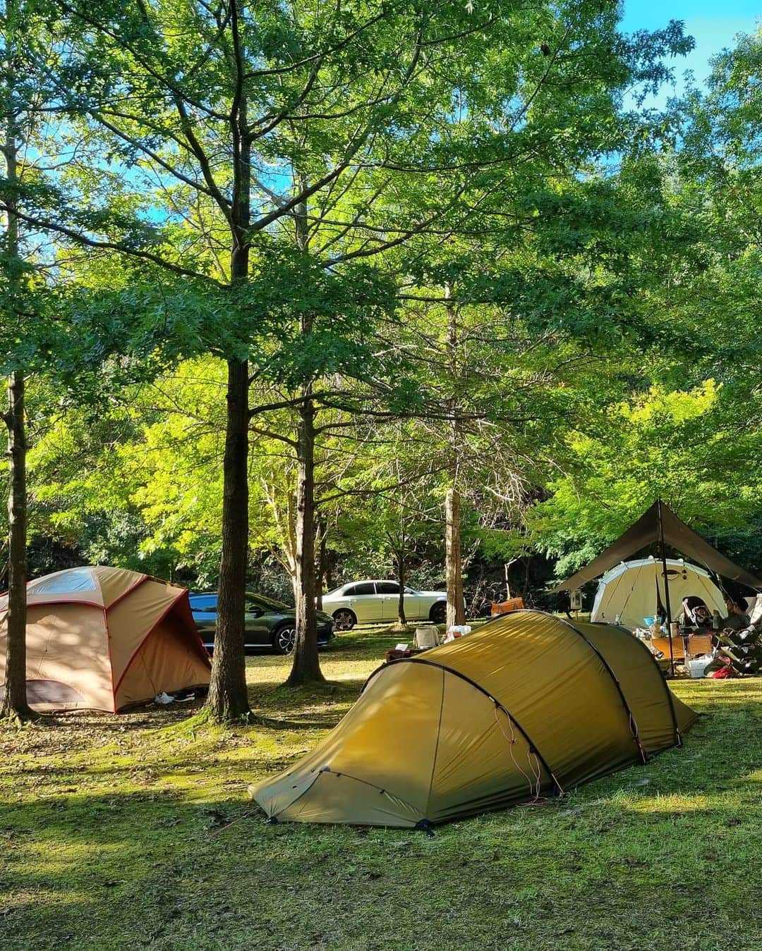 チェ・スルギさんのインスタグラム写真 - (チェ・スルギInstagram)「⛺️🏕️🍃  오크돔 🫶🏻힐레베르그 🫶🏻안나한 #야채캠핑」9月27日 10時30分 - angel9028