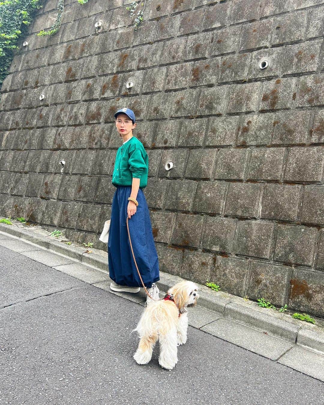 kazumiさんのインスタグラム写真 - (kazumiInstagram)「今日も涼しいから お散歩の時間も遅めにできて嬉しい🐶🤍 1時間遅く出かけるだけで オープンしているカフェも増えて楽しい朝活☕️ おでかけ好きのカブキもご機嫌💯  質問を頂いていた🙇🏻‍♀️ YouTubeの　@traditionalweatherwear の ショップクルーズのリアルにゲットものですが🫣🛍️  このグリーンのニットにしたよ🥰 可愛い🥹💚 スカートは　@seanewyork  白T @hyke_official  キャップ　@celine  眼鏡　@ahlem  お散歩バッグ　@haag.kr  スニーカー　@hitec_japan   #カブキ#シーズー#犬と猫のいる暮らし#犬のいる暮らし#dog#私服#WEAR#traditionalweatherwear#seanewyork#haag#celine#ahlem#kazumi#朝活#朝カフェ#朝活記録」9月27日 10時43分 - kazumi0728