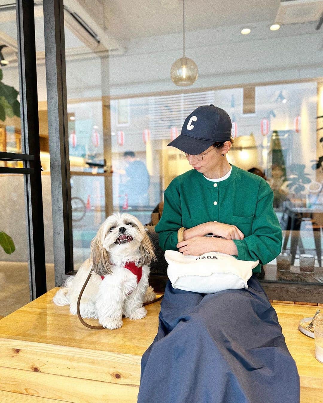 kazumiさんのインスタグラム写真 - (kazumiInstagram)「今日も涼しいから お散歩の時間も遅めにできて嬉しい🐶🤍 1時間遅く出かけるだけで オープンしているカフェも増えて楽しい朝活☕️ おでかけ好きのカブキもご機嫌💯  質問を頂いていた🙇🏻‍♀️ YouTubeの　@traditionalweatherwear の ショップクルーズのリアルにゲットものですが🫣🛍️  このグリーンのニットにしたよ🥰 可愛い🥹💚 スカートは　@seanewyork  白T @hyke_official  キャップ　@celine  眼鏡　@ahlem  お散歩バッグ　@haag.kr  スニーカー　@hitec_japan   #カブキ#シーズー#犬と猫のいる暮らし#犬のいる暮らし#dog#私服#WEAR#traditionalweatherwear#seanewyork#haag#celine#ahlem#kazumi#朝活#朝カフェ#朝活記録」9月27日 10時43分 - kazumi0728