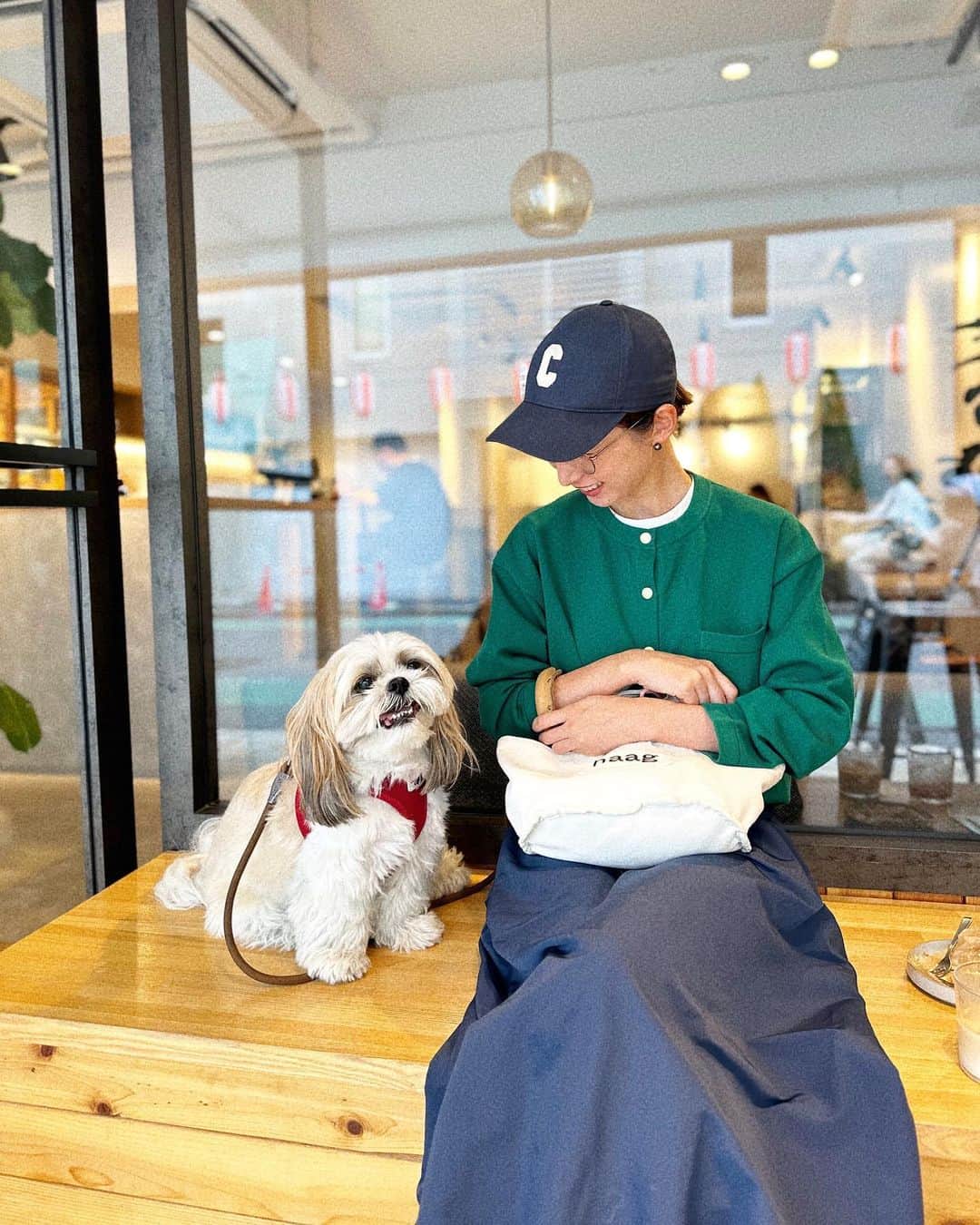 kazumiさんのインスタグラム写真 - (kazumiInstagram)「今日も涼しいから お散歩の時間も遅めにできて嬉しい🐶🤍 1時間遅く出かけるだけで オープンしているカフェも増えて楽しい朝活☕️ おでかけ好きのカブキもご機嫌💯  質問を頂いていた🙇🏻‍♀️ YouTubeの　@traditionalweatherwear の ショップクルーズのリアルにゲットものですが🫣🛍️  このグリーンのニットにしたよ🥰 可愛い🥹💚 スカートは　@seanewyork  白T @hyke_official  キャップ　@celine  眼鏡　@ahlem  お散歩バッグ　@haag.kr  スニーカー　@hitec_japan   #カブキ#シーズー#犬と猫のいる暮らし#犬のいる暮らし#dog#私服#WEAR#traditionalweatherwear#seanewyork#haag#celine#ahlem#kazumi#朝活#朝カフェ#朝活記録」9月27日 10時43分 - kazumi0728