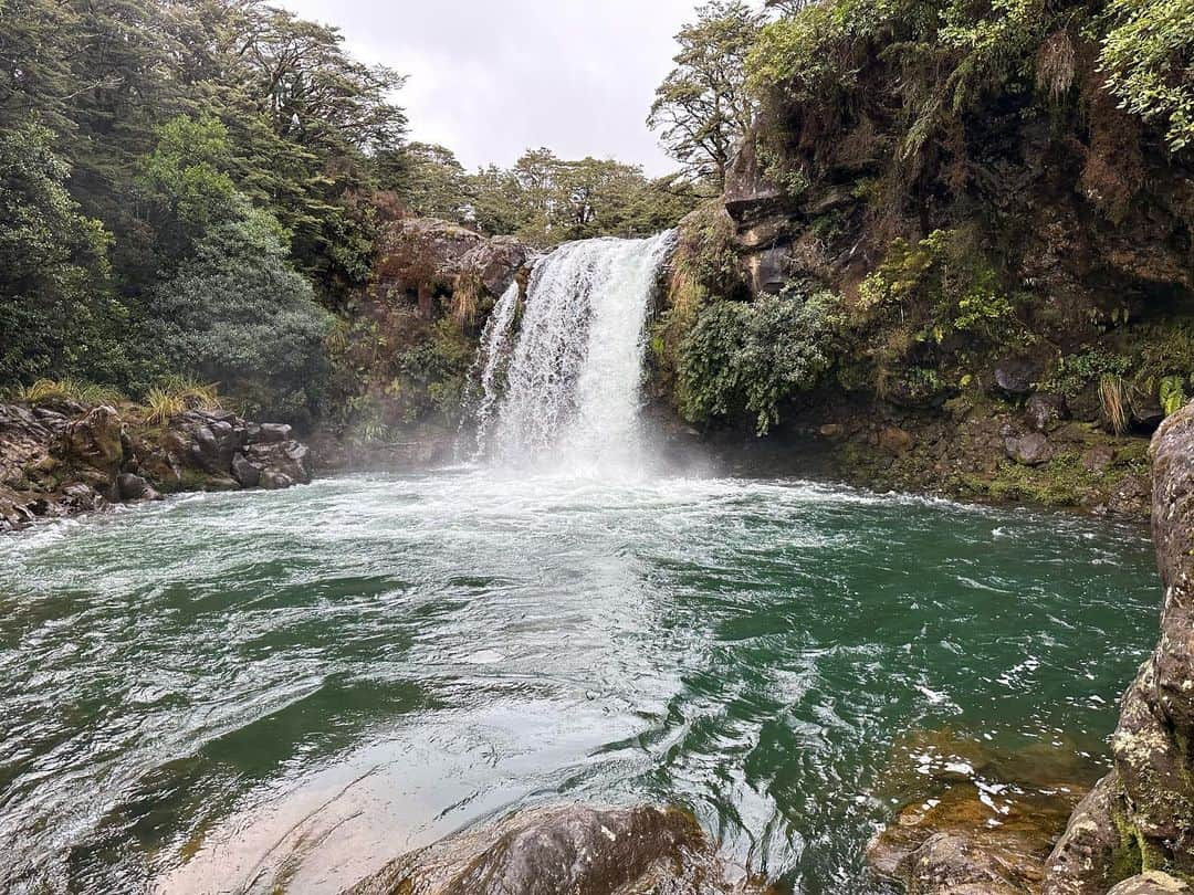 マリッサ・キャステリさんのインスタグラム写真 - (マリッサ・キャステリInstagram)「NEW ZEALAND PART 2!」9月27日 10時58分 - marissacastelli