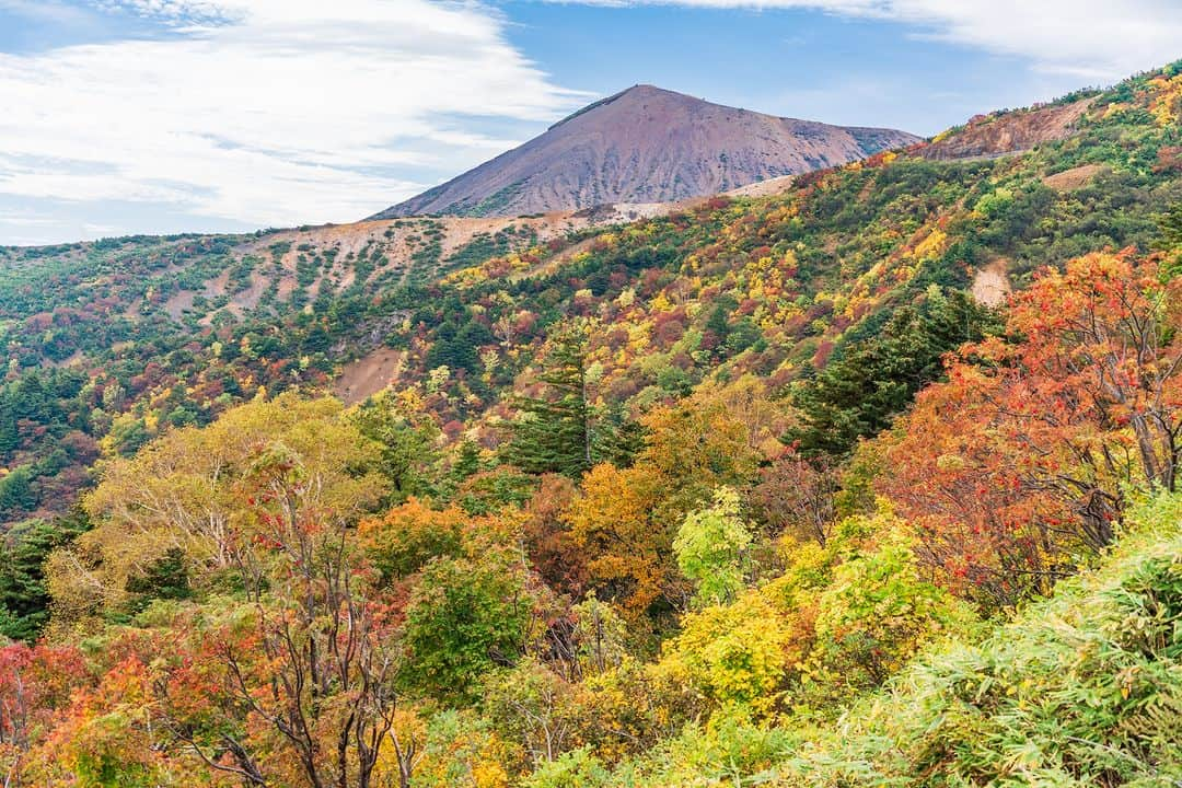 旅行比較サイト・トラベルコ 理想の旅を、いちばん安く。さんのインスタグラム写真 - (旅行比較サイト・トラベルコ 理想の旅を、いちばん安く。Instagram)「#磐梯吾妻スカイライン / 福島  全長約29kmの山岳観光道路でビューポイント「吾妻八景」制覇💛  例年9月下旬～10月上旬に紅葉の見頃を迎え、赤、オレンジ、黄色、緑のグラデーションが山肌を覆います🍁 谷底まで約80mの高さを誇る不動沢橋からの眺めも抜群📷✨  ━━━━━━━━━━━ 📍 #磐梯吾妻スカイライン （福島県福島市） ━━━━━━━━━━━  Photo: PIXTA  ＝＝＝＝＝＝＝＝＝＝＝＝＝＝＝＝＝ ＼もみじ狩りに行こう～エリア別の見頃・ライトアップ情報～／ 【2023年】全国の紅葉名所50選！  記事は以下URLまたはストーリーズからチェック！ https://www.tour.ne.jp/matome/articles/kouyou/ ＝＝＝＝＝＝＝＝＝＝＝＝＝＝＝＝＝＝  ********** あなたが旅先で出合った素敵な風景に #トラベルコ または #travelko をつけて投稿してみてください📷 こちらのアカウントで紹介させていただくかも！  投稿を見て「行きたい！」と思ったら保存でクリップ。 フォロー＆いいねもお願いします🌟  ********** 国内海外1500以上の旅行サイトをまとめて比較！ 旅行の最安値を探すなら「トラベルコ」  プロフィール欄のURLから早速検索🔍 @travelko_official  #磐梯吾妻スカイライン #紅葉 #もみじ狩り #紅葉狩り #hukushima #福島 #福島旅行 #福島観光 #国内旅行 #日本の絶景 #japantrip #japantravel #絶景 #フォトジェニック #ファインダー越しの私の世界 #誰かに見せたい景色 #旅行好きな人と繋がりたい #写真好きな人と繋がりたい #女子旅 #一人旅 #旅行好き #旅 #旅行 #観光 #trip #travelko #トラベルコ」9月27日 12時00分 - travelko_official