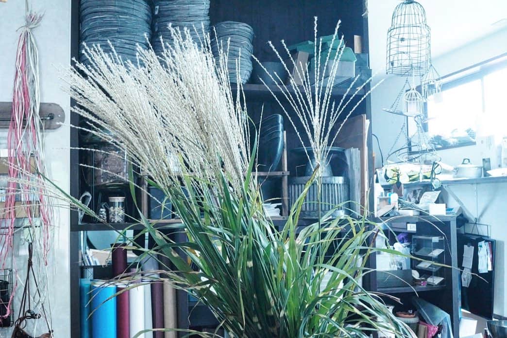 MILLE ECLAT.のグルメインスタ