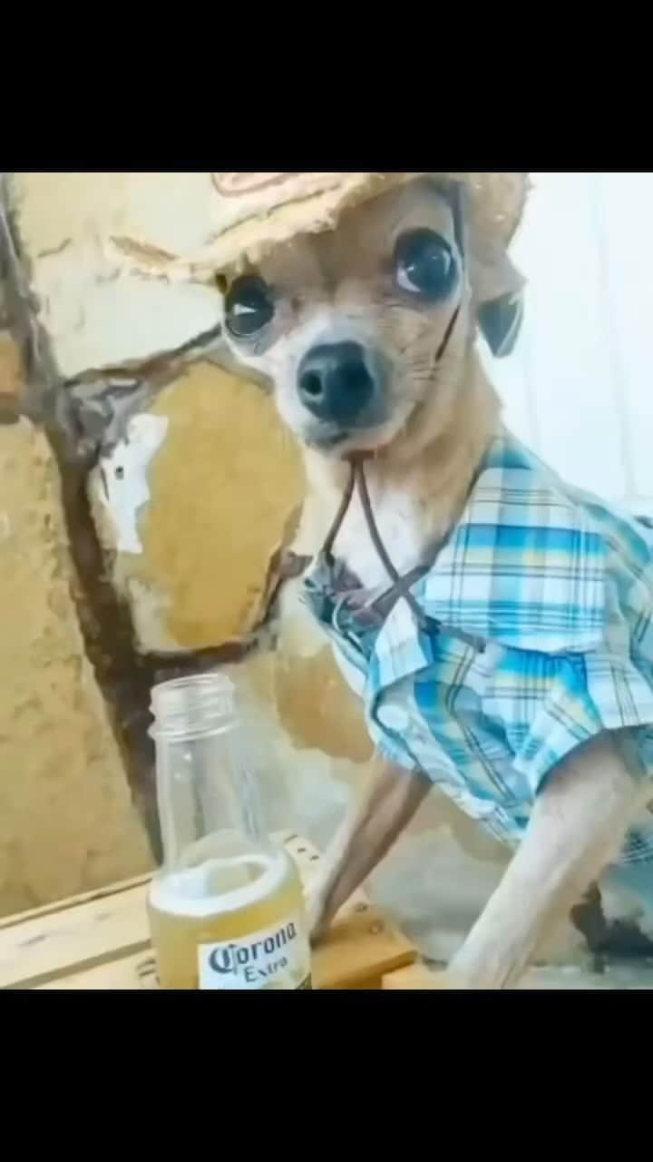 のインスタグラム：「😭😭」