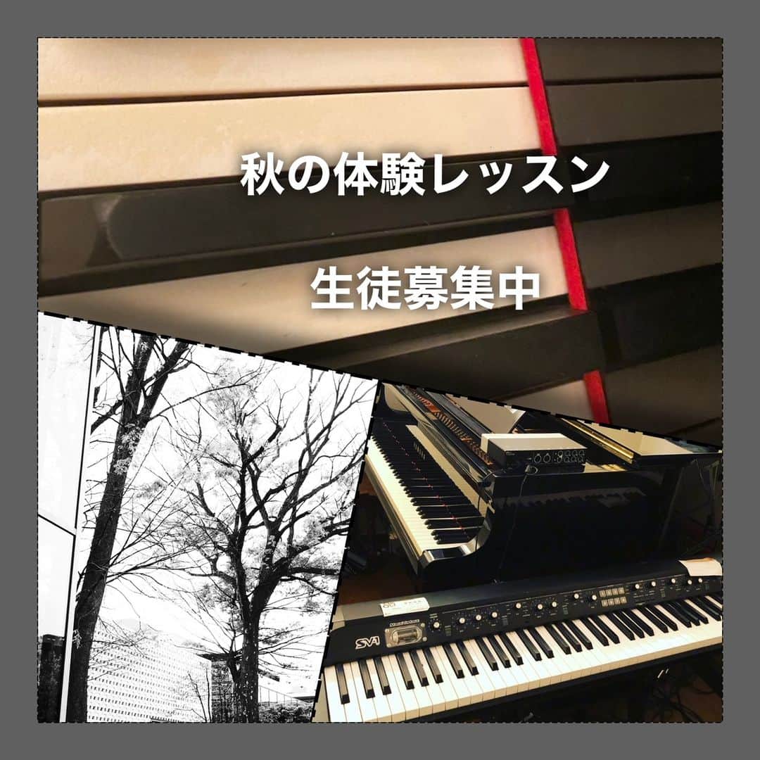 南博のインスタグラム
