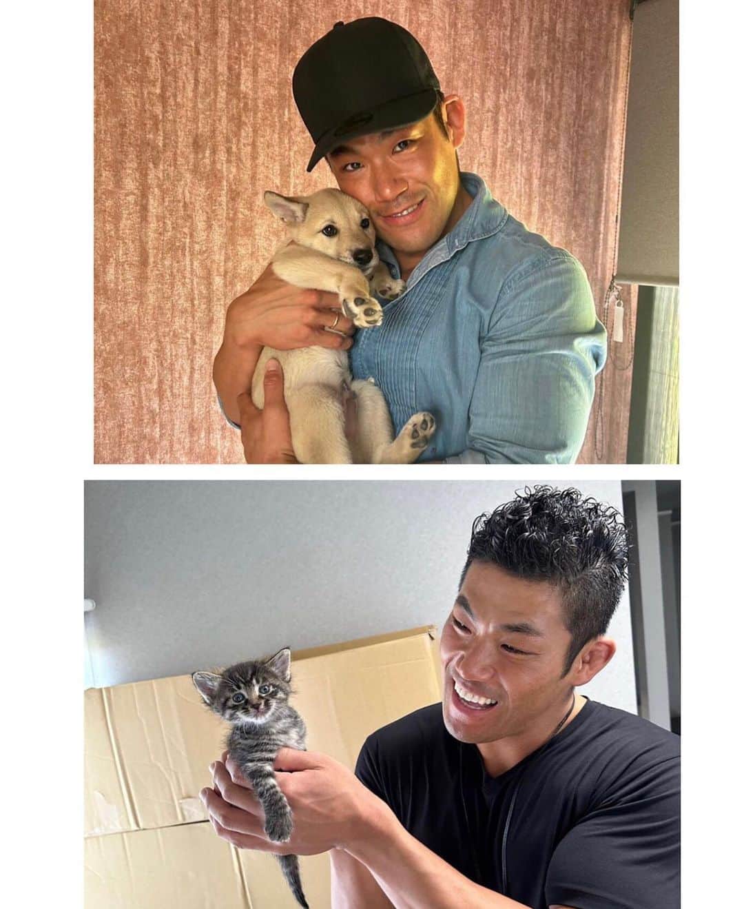 真田聖也さんのインスタグラム写真 - (真田聖也Instagram)「2ヶ月ぶり 保護犬ちゃん、 保護猫ちゃん に会って来たら めちゃ大きくなってる🐕🐈‍⬛  可愛すぎかよ🥺」9月27日 13時21分 - seiya_sanada