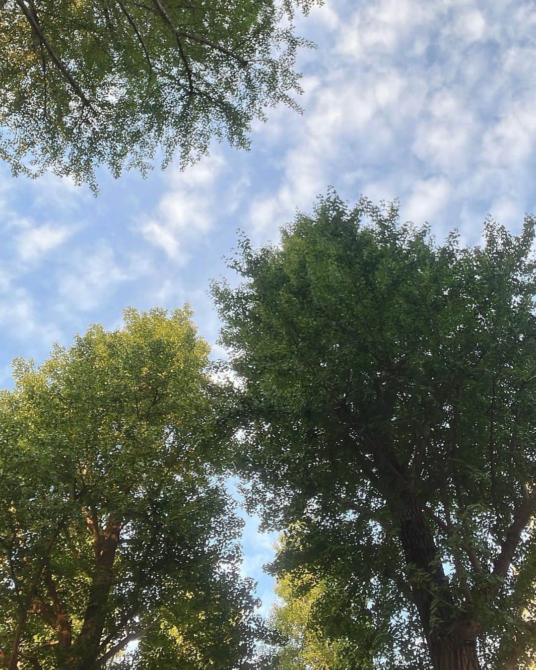 沖玲萌のインスタグラム：「#nature #naturelovers #naturephotography」