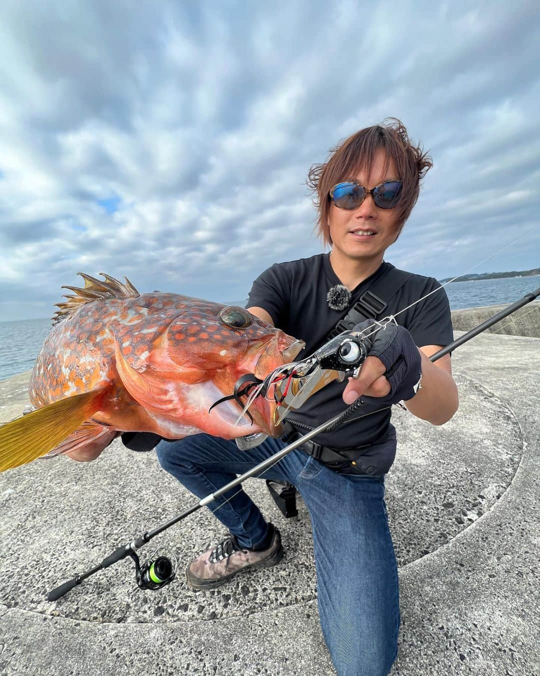 金丸竜児さんのインスタグラム写真 - (金丸竜児Instagram)「キジハタゲーム‼︎  本日は大型が出ず小型中型の数釣りみたいな釣果となりました。  典型的な秋のパターンですね。  比較的釣りやすいシーズンの到来です‼︎  幾分、涼しくなり始めましたし、是非秋の釣行を楽しまれて下さい^_^  #GRANDAGE_BRUTE_STRETCH_FOUR_ S88MH #APIA #アピア　#ハタゲーム専用ロッド　#魚子ラバ　#ミドルゲーム　#キジハタ　#ロックフィッシュ　#RUDIES #ルーディーズ　#金丸竜児」9月27日 14時35分 - kanamaru_ryuji