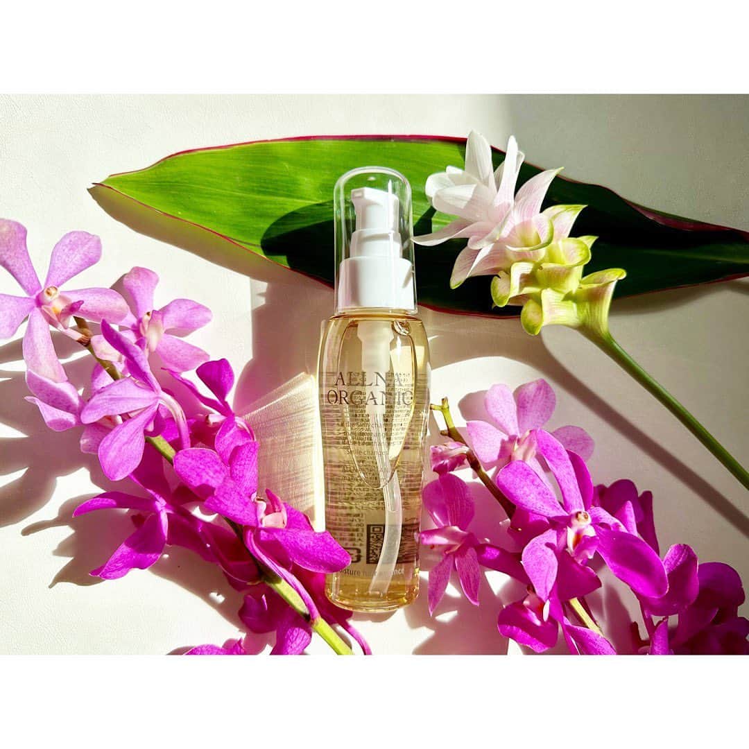 永末まゆのインスタグラム：「驚くほど良い香りのヘアオイル🥺🍃🪻🍊✨ここまで香り高いのには久しぶりに出会った🪻✨  つやつやしっとりヘアになれるのに、ベタつかない仕上がり✨  オーガニック認証成分配合なのに、プチプライスなのも魅力的✨(Amazonだと1870円でした)  ・ ・ ・  PR @allna_organic #オルナオーガニック #素顔の私を好きになる #ヘアオイルおすすめ #ヘアケア用品 #ヘアオイル #allnaorganic  #美容好きな人と繋がりたい #ヘアケア」