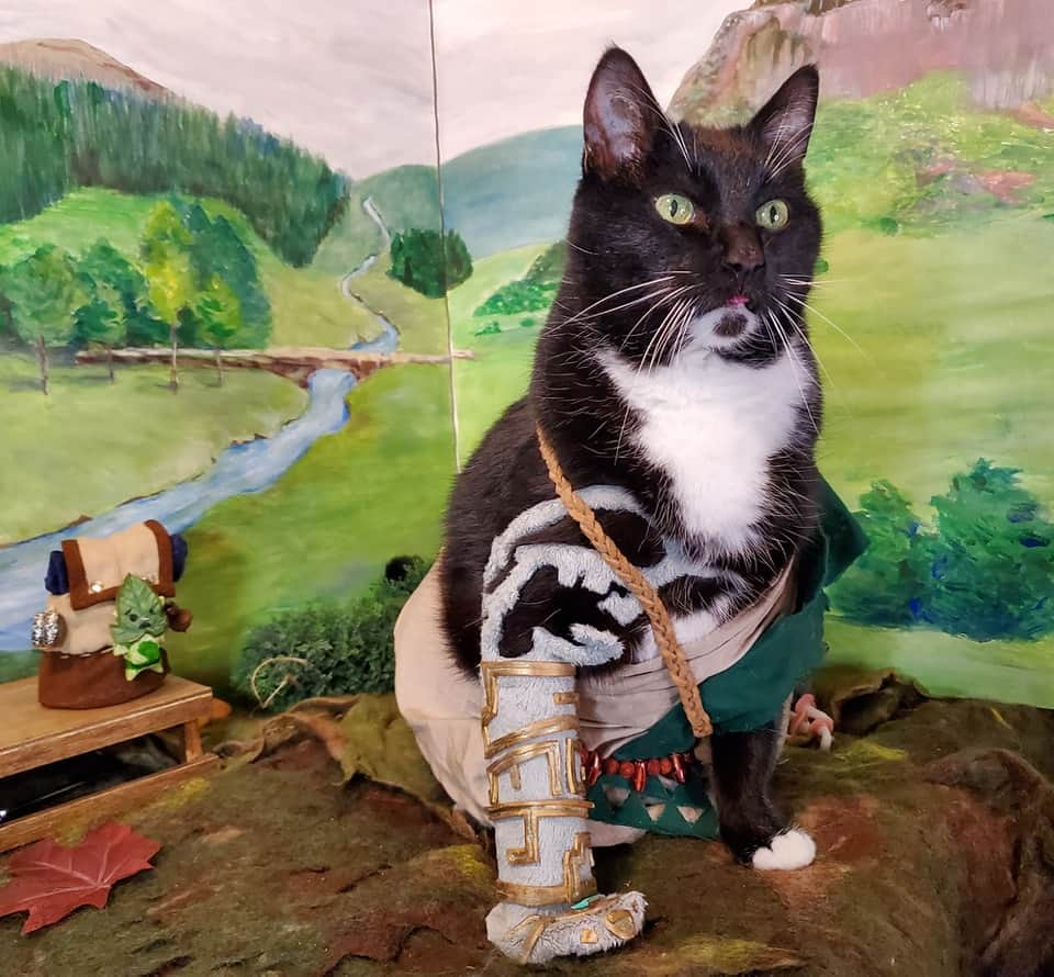 猫コスプレのインスタグラム：「I Link, Therefore I Am.  #Zelda #TearsOfTheKingdom #link . . . . . #catcosplay #cosplay #cosplayer #cat #catcostume #catsinclothes #petclothes #PetCostume #petarmor #catarmor #funnycats #humor #funny #tuxedocat #videogame #videogamecosplay #linkcosplay #zeldacosplay #loz #totk #thelegendofzelda #nintendo」