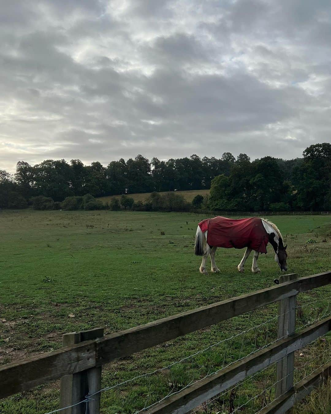 JEN ATKINさんのインスタグラム写真 - (JEN ATKINInstagram)「throwback to a magical week this time last year w our @theouai UK family in the English countryside🏡🐎🍂 (and bonus freaking out abt seeing our cab in London🫠) take us backkkk」9月28日 1時49分 - jenatkinhair