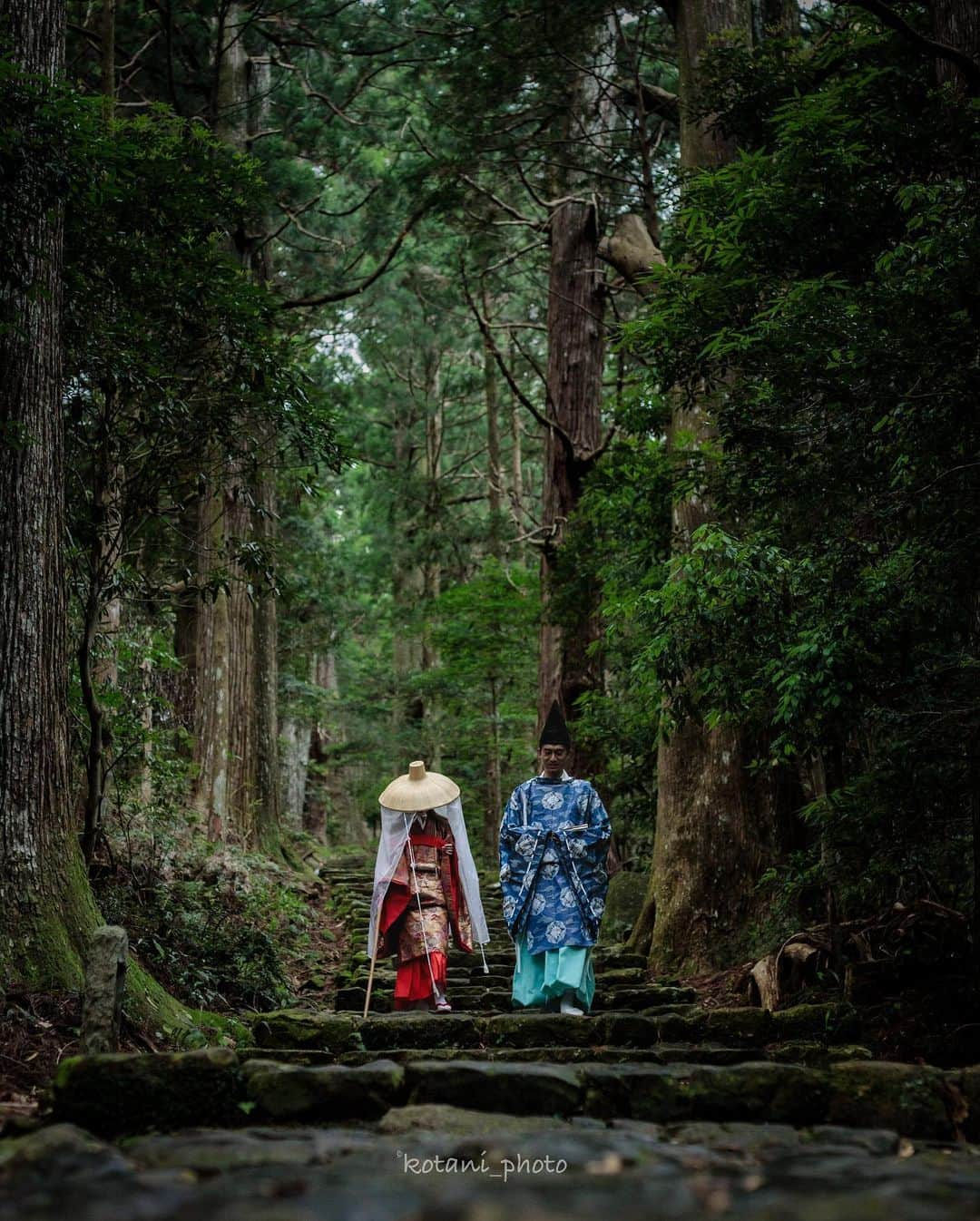 和みわかやまさんのインスタグラム写真 - (和みわかやまInstagram)「. 熊野古道 大門坂🍂約2.5kmの石畳を歩いた先には、熊野那智大社や那智山青岸渡寺があります。手前の大門坂駐車場に車を停めて、帰りは駐車場までバスで戻ってくるのがおすすめです😌  📷：@kotani_photo 📍：熊野エリア 那智勝浦町  #グッドトリップ和歌山 投稿キャンペーン優秀賞からのリポストです😉 . . . #和歌山 #和歌山観光 #和歌山旅行 #わかやま #和みわかやま #wakayama #wakayamajapan #wakayamatrip #wakayamatravel #nagomi_wakayama #wakayamagram #寺 #神社 #熊野那智大社 #那智山青岸渡寺 #shrine #temple #kumano #kumanokodo #旅行 #国内旅行 #旅行好きな人と繋がりたい #観光 #travel #trip #travelgram #japan #travelphotography」9月27日 17時00分 - nagomi_wakayama_tourism