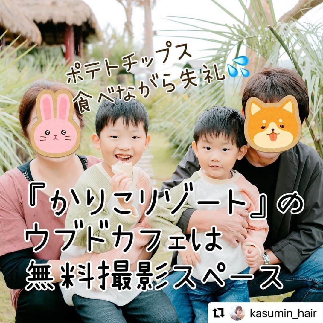 西本香澄さんのインスタグラム写真 - (西本香澄Instagram)「#Repost です 最近七五三のお話を よく聞くので 少しでも何かの参考になれば🌸🌸 去年のことなので、 多少今と違うことがあるかもです🙇‍♀️🙇‍♀️ ＊＊ ＊＊ ＊＊ ＊＊ #七五三レポ #出張カメラマン さん呼んで 『#淡路島旅行 』でやってみたレポ♪ （興味ない方はスルーしてください🙇‍♀️） ＊＊ ＊＊ ＊＊ ＊＊ 我が家は#男の子2人 の #2歳差兄弟 🎉 #3歳5歳 で一気に#七五三 をやりました🎉 ＊＊ ＊＊ 『子供だけの写真』ではなく 『#家族写真 』として 残したい想いがあったので 両家の祖父祖母も巻き込んで 七五三撮影旅行にしちゃいました🚗 カメラマンさんが最高で、 記録として投稿させてください♡ ＊＊ ＊＊ ＊＊ ＊＊ 淡路島のお宿は 『#やぶ萬旅館 』さん🛏 @yabuman_1863  ご飯が豪華なとても綺麗なお宿です✨✨ 人数によるかもですが、 ご飯を食べる部屋が貸し切りのお部屋で、 子供が走り回っても大丈夫🙆‍♀️ （走り回る子でごめんなさい😭） 両親たちもコース料理を 喜んでくれました🍻 大浴場の温泉も泉質最高♨️ ＊＊ ＊＊ 着物撮影は旅館から徒歩30秒の @fukurahachiman  #福良八幡神社 お宿から近いって最高です！！ 事前に電話でお問い合わせしまして 七五三の家族写真を撮りたいと 伝えると快く撮影許可してくださいました🙇‍♀️🙇‍♀️ ありがとうございます🙇‍♀️🙇‍♀️ ＊＊ ＊＊ 着物はレンタルでRENCAさん @renca.jp です👘 全部ネットで手配✨ 予定通りに届きます🎉🎉 この日は少し雨が降ってたのですが 安心パック（＋1000円）（当時） を付けていたので安心して着せれました👘 着せ方の動画もちゃんとあります！！ （私は自信なかったのでカメラマンさんに着付けもお願いしました） 私の着付け補正用に タオルを2枚使った以外は、 何から何までセットなので、 他になにも用意しなくて良いのが安心😆 子供の着付けはパパが 頑張ってくれました🎉🎉 （カメラマンさんも着付け出来る方なので安心） ＊＊ ＊＊ 『千歳飴』はAmazonで購入。 手作りのものとか色々見たんですが、 兄弟が全く同じ物じゃないと 揉めると思ったので、Amazonで🤗 『お楽しみ付き』と書いてて #ピロピロ 、#紙風船、#シャボン玉 が入ってました！ 中身が変わるかはわかりません。 飽きてきたな！と感じたタイミングで千歳飴開封🎉 ピロピロでだいぶ凌げました💦💦 後出しおもちゃ大切でした😂 ＊＊ ＊＊ #番傘 はカメラマンさんが用意してくれました😍😍 小道具ありがたいです！！ ＊＊ ＊＊ 和装で撮影時間は30分。 着付けに1時間つかっているので、 兄弟は和服撮影30分で限界な感じでした😂 それでも段取り良く撮っていただいたおかげで、 たくさん写真が撮れてありがたいです🙇‍♀️🙇‍♀️ ＊＊ ＊＊ 旅館に戻ってお着替え （一部屋だけチェックアウトを1時間延長してもらいました。追加料金ありで対応してくれました。） ＊＊ ＊＊ 着替えたら 旅館から車で20分の #かりこリゾート @karikoresort へ移動。 なんと#無料撮影スペース なんです！ #ウェディングフォト や #ドッグラン #カフェ もやっている素敵な場所🎉🎉 雨予報だったので、パラソルのような屋根のある場所を探してこちらの#ウブドカフェ になりました🎉🎉 なんとかギリギリ屋根無しの場所でも撮れる感じの天気でした🌸 途中どしゃ降りだったんです☔️焦った💦💦 ＊＊ ＊＊ ＊＊ ＊＊ 朝9:00〜着付け👘 朝10:00〜10:30撮影で、 着替え、移動 私服撮影で12:30終了🎉🎉 和服撮影の時も、 私服撮影の時も、 もうバッチリです🙆‍♀️🙆‍♀️と 私が伝えて終了しました😊 かなり枚数撮ってくださいました🥰 ＊＊ ＊＊ ＊＊ ＊＊ とにかく最高だったカメラマンさんは @cu_t_photo さん❤️❤️ この撮影まぢでクーティさんのおかげです🎉🎉 『ロングプラン』をお願いしました📸 大阪の方なのですが、 遠方まで快く来てくださいました😍 着付けもできるカメラマンさん✨✨ かなり貴重じゃないですか？ うちの頑固な父が、撮影後に 「とにかくカメラのお姉ちゃんが良かったから 良い撮影になった」と絶賛👏👏 うちの息子たちもカメラ慣れしていないし、 祖父祖母もカメラ慣れしていないので、 緊張をほぐしながら子供に声変えてくれながら、 楽しい時間にしてくれました😍 ＊＊ ＊＊ ＊＊ ＊＊ 撮影終わって解散〜の時には 「もっとお姉さんと遊びたい」 「お姉さんも一緒にパフェたべない？」 （ナンパか？）と 長男が誘っちゃうくらい素敵な方でした🥰 父も言ってましたが、 カメラマンさんの力無しには この撮影は上手くいかなかったな🥺 紹介してくださった @kenji_ideta_photography  様も ありがとうございました🙇‍♀️」9月27日 17時00分 - kasumin_hair