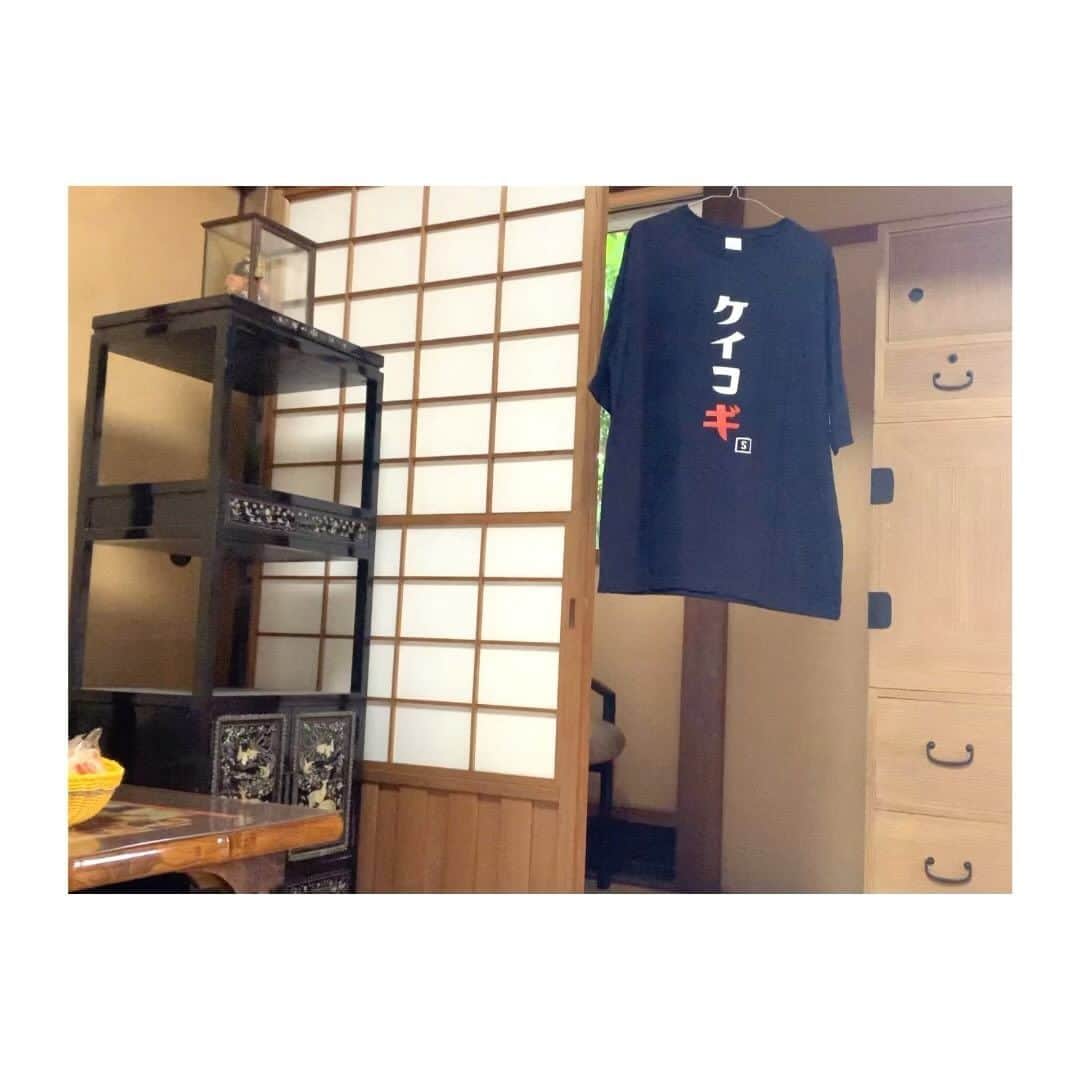 井上小百合のインスタグラム：「今年はどんな感じになるかなあ  楽しみです ¨̮ ¨̮ ¨̮  これは昨年までの様子！   #SYRUP祭2023  #はち太郎くん」