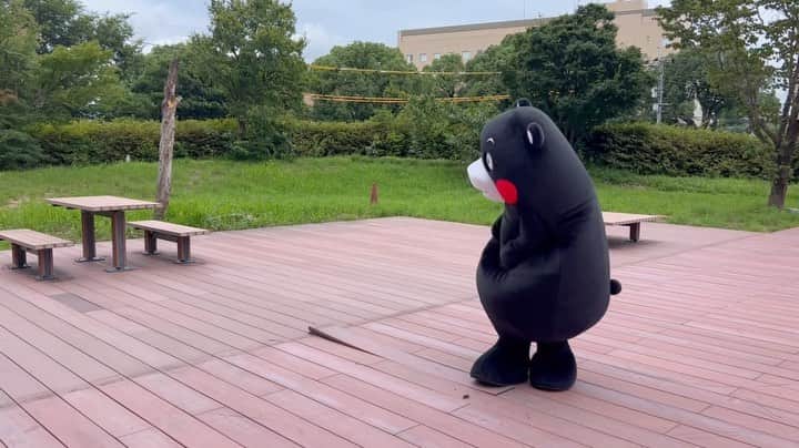 くまモン隊【official】のインスタグラム：「. 気になって仕方がないくまモン🐻  もっと足がながけ、、、🫢💦  #⚠️壊したわけではございません🙇‍♀️⚠️ #熊本#kumamoto #熊本県庁 #くまモン#kumamon」