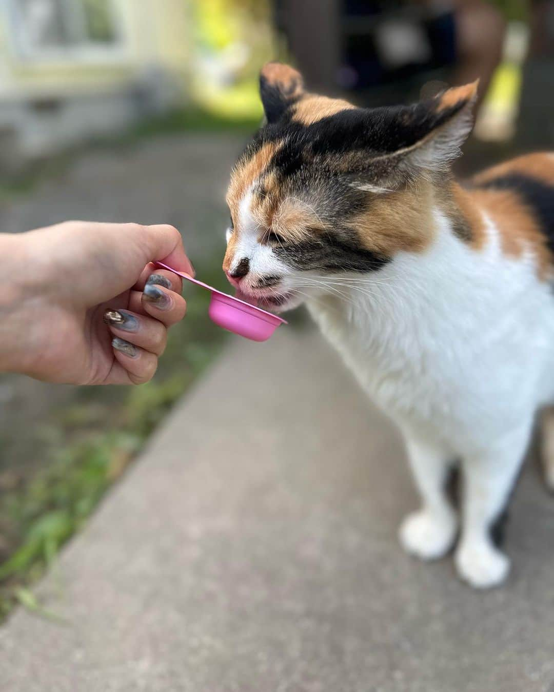 一ノ瀬恋さんのインスタグラム写真 - (一ノ瀬恋Instagram)「In 山梨 ☀️ 自然に癒された🤤🩵🩵🩵 サウナもできるけど今回は入らなかった😭泣  #山梨 #一棟貸し  #サウナ」9月27日 17時35分 - mayu19900323