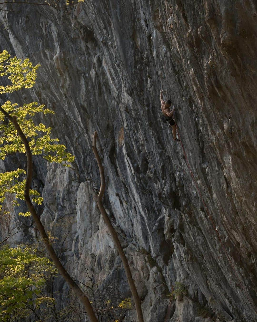 平山ユージさんのインスタグラム写真 - (平山ユージInstagram)「Pictures @jan_novak_photography  Climbing season comes soon in Mt Futago🍂🍁 Hopefully we see at the cragg with climbers from all around the world✨✨🍻🌏  もう直ぐ二子山のシーズンがやってきます🍁🍂 世界中から集まるクライマーと岩場で会いたいですね✨✨🍻🌏 #mtfutago #futagoyama #二子山　 #tnfjp #ザノースフェイス #neverstopexploring」9月27日 17時38分 - yuji_hirayama_stonerider