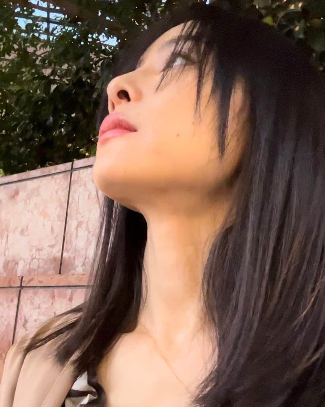 のインスタグラム：「❇︎ evening walk 写真を撮るのが趣味だった事を思い出す。 一眼レフもまた撮りたいな。  #ebisu #恵比寿 #tokyo #東京 #japan #日本」
