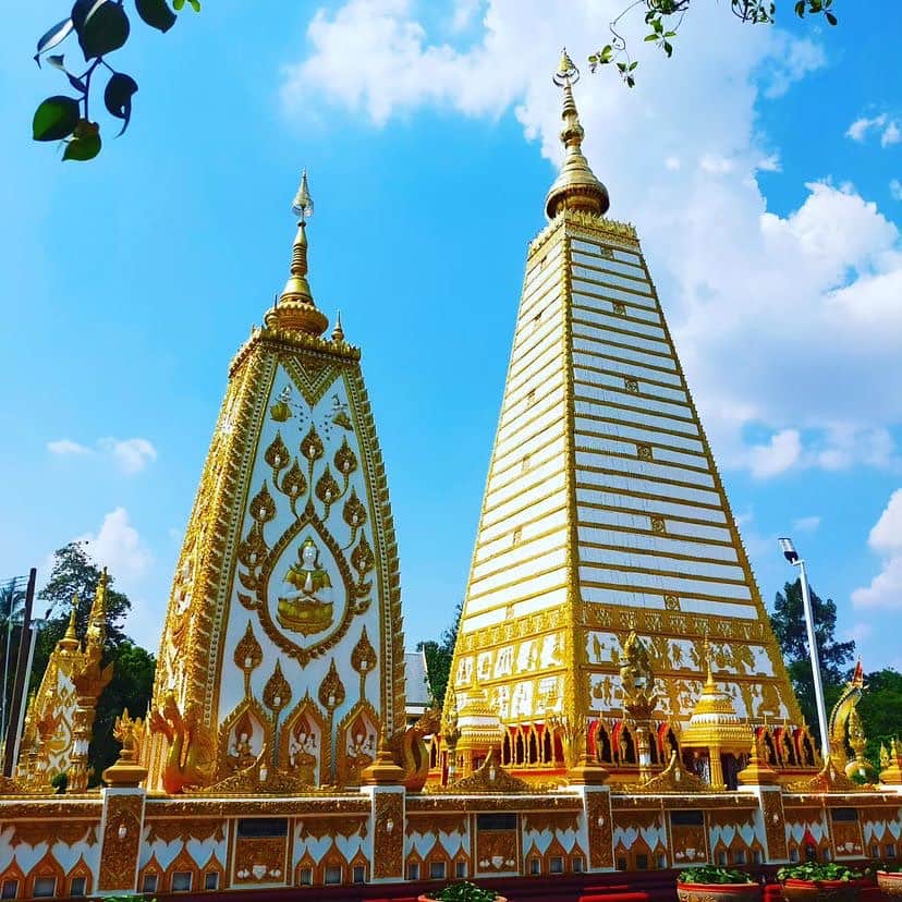 タイ国政府観光庁のインスタグラム：「. 【今週の #WhatNewThailand 🇹🇭🔍】  #今こそタイへ 行ってみたい！と思った方は コメント欄に【🙏】をどうぞ♡  今月のテーマ「タイ北部＆東北部」から 南イサーンの寺院「ワット・プラタート・ノンブア」をPick Up ⠜*  白と金の美しい仏塔が目を惹きますね✨  ワット・プラタート・ノンブアは、南イサーンでタイ最東部のウボンラーチャターニー県にある寺院🕊　仏教誕生2500周年を祝し、1957年に建設されました💁‍♀️  この寺院の特徴は、イサーンで唯一、“インド様式”が取り入れられていること💡　モデルとなっているのは、インドのブッダガヤの大仏塔です🙏  ピラミッド型の白い仏塔をよく見ると、仏教にまつわる神話が描かれていることが分かります👀　なお高さは57m、幅は17mです💨  昼間はもちろん、ライトアップされた夜の眺めも荘厳✨　ちなみに敷地内には、「キャンドル・フェスティバル」の山車も奉納されています🕯  @sekkin1970  さん、コップン・カー🙏✨  ★参考になった！と思ったら、あとで見返せるように、 画像右下にある保存ボタン🔖をタップ！  #repost #タイ #ウボンラーチャターニー #イサーン #ワットプラタートノンブア #タイ寺院 #お寺巡り #仏塔 #タイ文化 #今こそタイへ #こんなタイ知らなかった #もっと知りタイ #はじめてのタイ #タイ旅行 #イサーン旅行 #旅好きな人と繋がりたい #thailand #ubonratchathani #watphrathatnongbua #temple #pagoda #thainess #amazingthailand #thailandtravel #thailandtrip #thaistagram #lovethailand #amazingnewchapters」