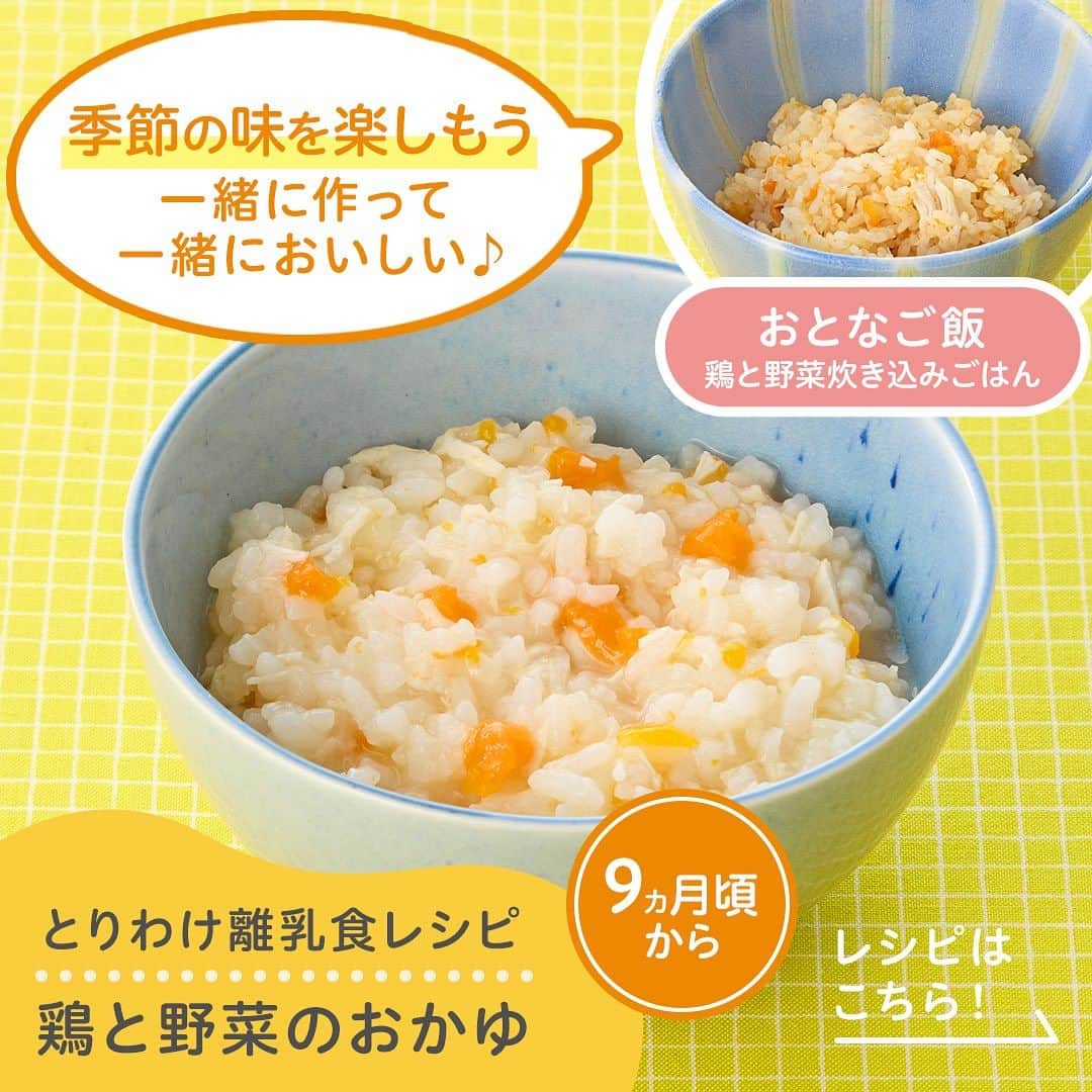 ピジョンのインスタグラム