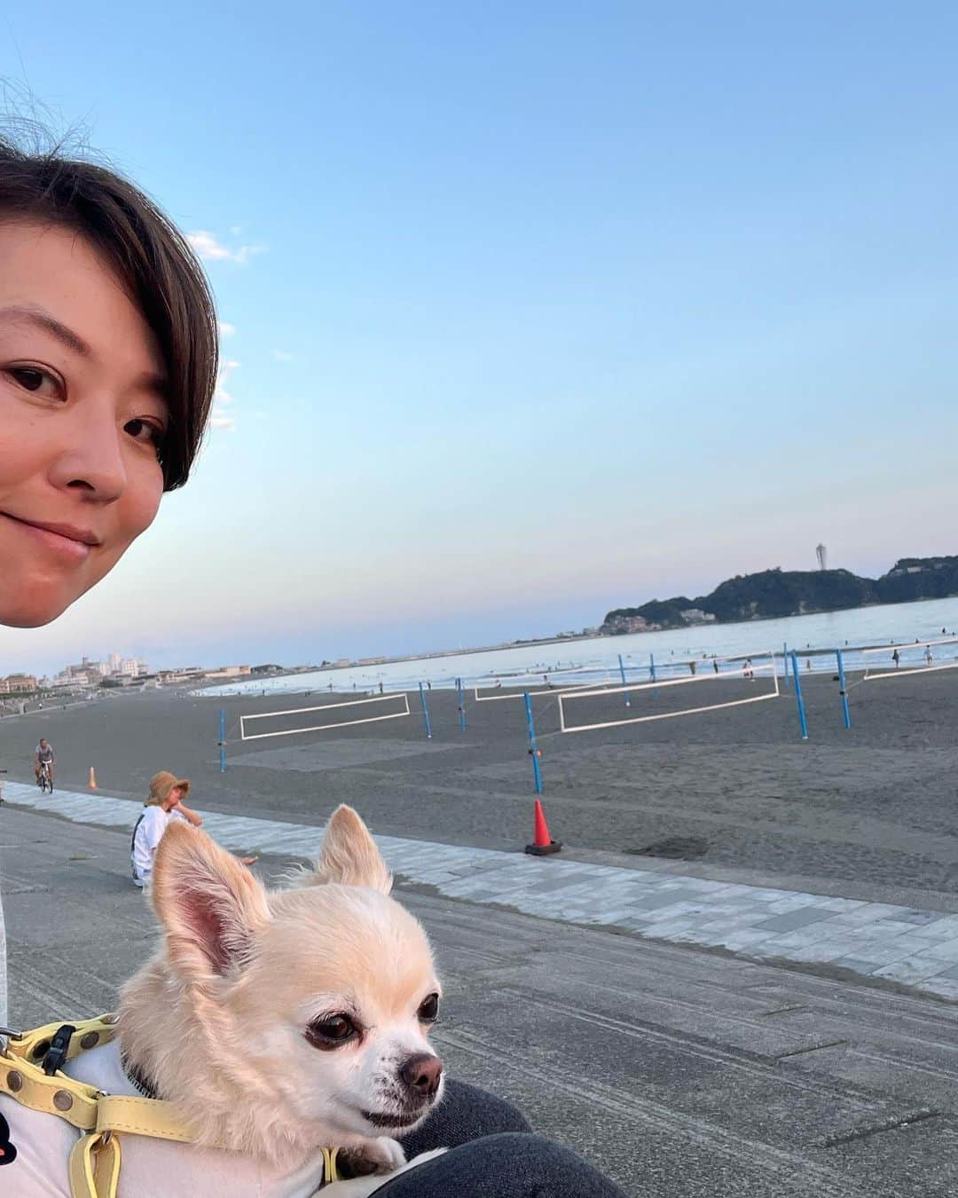五明祐子のインスタグラム：「今日は自宅で作業の日でしたー。  おもち🐶はお散歩大好き。小型犬ですが1日2回行きます😆  ああ。この景色、癒されるなあ☺️  #夕日#海#お散歩🐶」