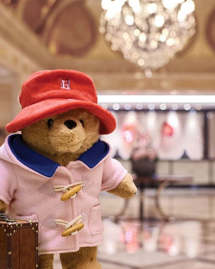 Paddington Bearのインスタグラム：「Next stop 📍 The Langham Hotel 🐾  Enjoy a relaxing stay in a Paddington themed room at The Langham Hotels across Australia, China, Hong Kong, Indonesia, the US, and the UK.  📸 @langhammelbourne  #WorldTourismDay」