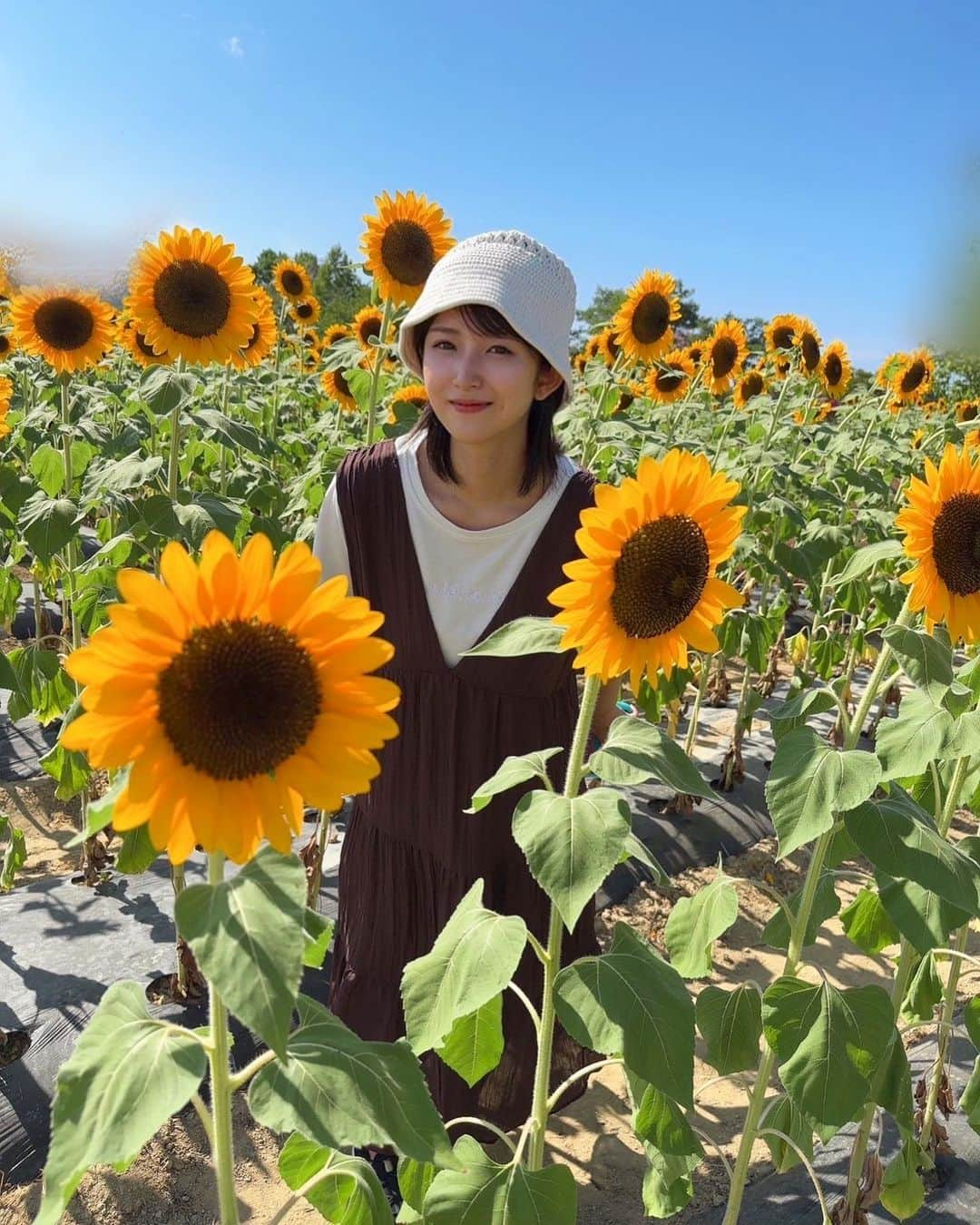 深田結梨（浅田結梨）のインスタグラム：「🌻☁️🌻☁️  真夏にみたひまわり畑。  暑すぎてゆっくり見れなかったけど、本当にきれいに咲いていて元気をもらいました✨  (あと、眩しくて目が開かなかった….笑)  秋の花といえばコスモスですね！  はやく見たいな〜  #summer  #ひまわり #向日葵  #夏  #flowers  #autumn」