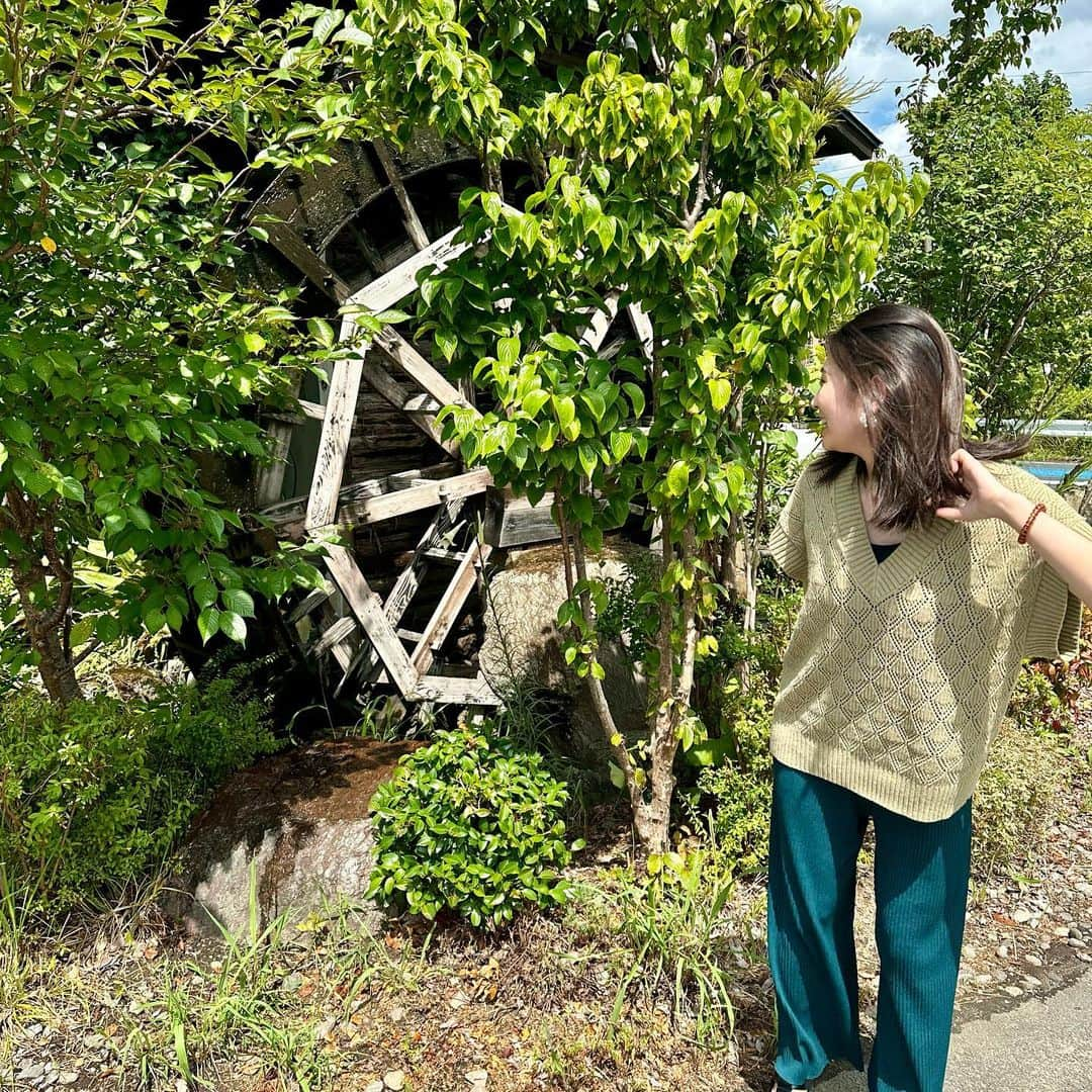 三浦優奈さんのインスタグラム写真 - (三浦優奈Instagram)「【東京庵】 📍愛知県豊川市馬場町薬師  『水車そば』とメニューにあるように 店の外には水車が！！  美味しくいただきました😋🧡  #そば #蕎麦 #そば屋 #蕎麦屋 #soba #japanesefood #japanesegourmet #food #gourmet #japanese #Japan #japanesegirl #toyokawa #そば好き #ざるそば #ざる蕎麦 #水車そば #東京庵 #豊川 #豊川グルメ #豊川ランチ #豊川市 #天ぷら #天ぷらそば #tenpura #tempura #月見そば #yummy #yummyfood #yummyyummy」9月27日 18時54分 - yuna_miura