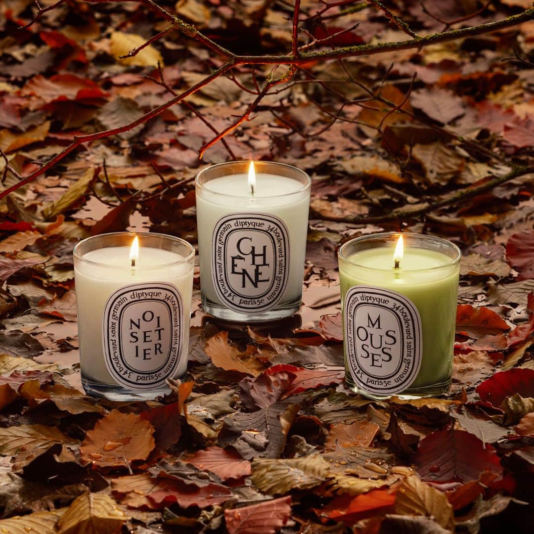 ディプティックのインスタグラム：「Autumn scents… …celebrate the season. Moss, Oak Tree and Hazel Tree recall the joys of forest walks: the crunch of leaves underfoot, the wind blowing through the branches. The scene is set. #Diptyque #Candles #AutumnSents #Forestwalk」
