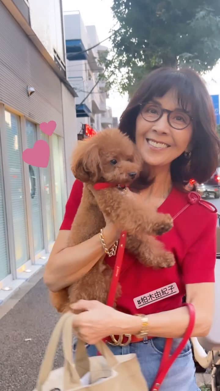 柏木由紀子のインスタグラム：「#柏木由紀子ファッションクローゼット 好評発売中！ #楽天ブックスファッション部門1位獲得 #発売前重版 #坂本九音楽事務所 #坂本九 #坂本九柏木由紀子 #シニアファッション #シニア世代のファッション番長 #75歳 #70代コーディネート #60代コーディネート #50代コーディネート #柏木マダム #カシワギマダム #由紀子巻き #60代ヘアスタイル」