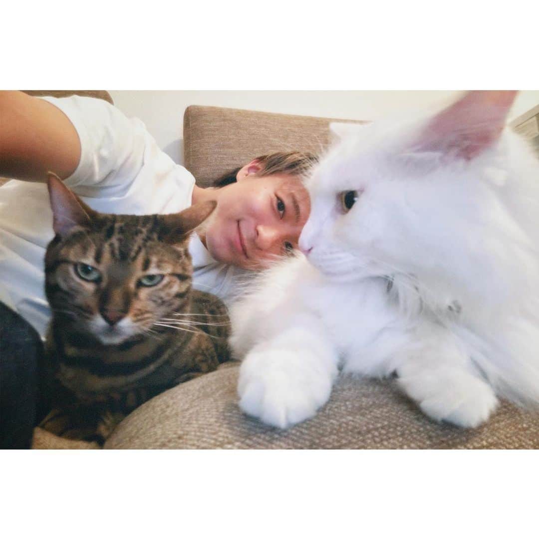 和田颯のインスタグラム：「. おうち時間🐈 エトのやる気のない顔と若干のブレがお気に入りです笑」