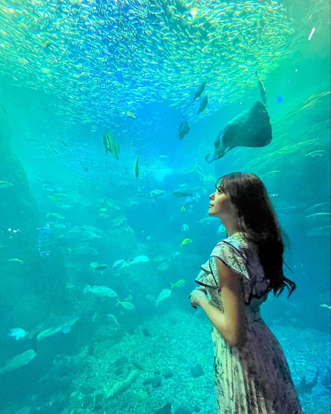 羽瀬萌のインスタグラム：「新江ノ島水族館🐠🐡💛❤️  とても大きな水槽にたくさんの種類の魚たち☺️☺️ まさかこんなところで撮影ができるとは！！ carrozzeriaカーナビを実際に使ってドライブ楽しかったよ！動画更新も楽しみにしててください😊 はせめぐは助手席担当でした🚙💛  #えのすい　#えのすい🐬  #しんえのしま水族館  #新江ノ島水族館 #新江ノ島水族館🐬  #水族館　#水族館撮影」