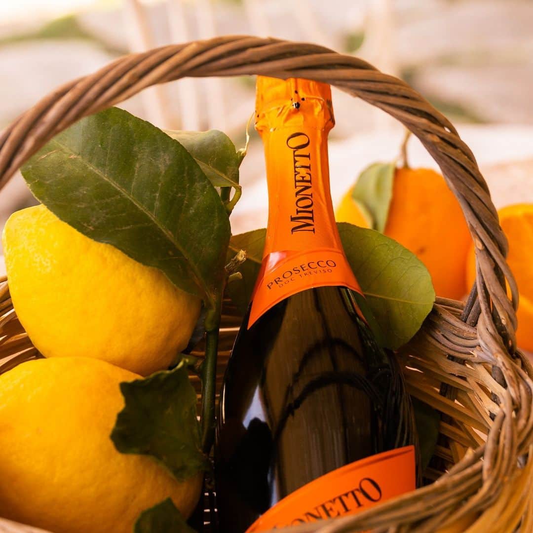 Mionetto USAのインスタグラム：「La bellezza dell'autunno! 🧡 With the fresh new season upon us, grab your picnic blankets, pop open your Mionetto Prosecco and enjoy all of these moments to come. Cin Cin!  #MionettoProsecco #Picnic #PicnicandProsecco #PoptheProsecco #FallActivities  Mionetto Prosecco material is intended for individuals of legal drinking age. Share Mionetto content responsibly with those who are 21+ in your respective country. Enjoy Mionetto Prosecco Responsibly.」