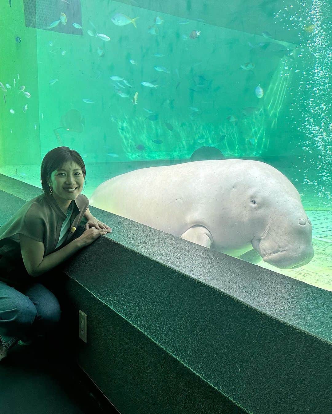 潮田玲子さんのインスタグラム写真 - (潮田玲子Instagram)「NHK Eテレ『ザ・バックヤード 知の迷宮の裏側探訪』 今回、鳥羽水族館の裏側に潜入してきました😃🙏  普段はなかなか入れないところや、貴重な動物たちの命を守る秘密を伺いました😆🙏 ラッコやジュゴンに会えて嬉しかったです🥰💓  是非ご覧ください！  ９月27日（水）22時30分〜  #nhk #eテレ #ザバックヤード知の迷宮の裏側探訪  #鳥羽水族館へ」9月27日 20時53分 - reikoshiota_official