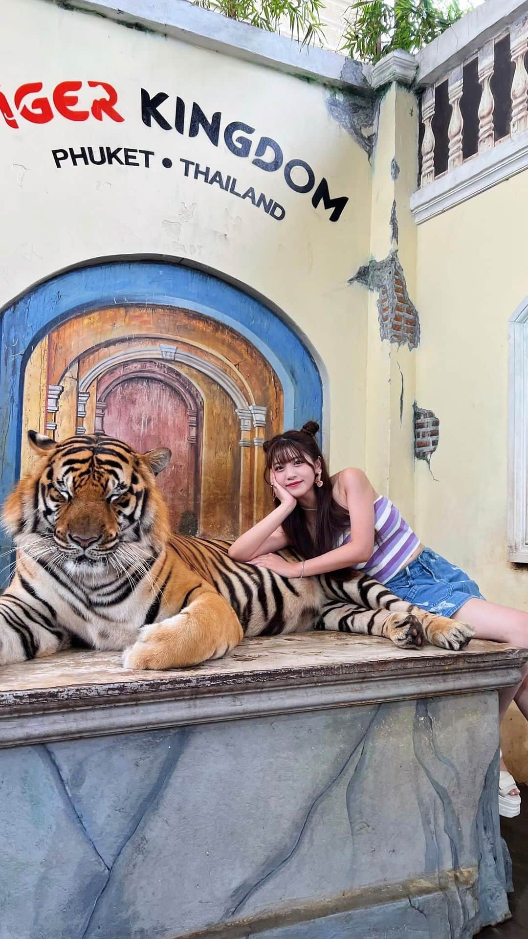 宇佐神星（きらり）のインスタグラム：「虎のしっぽって重たいんやね😳 . #tigerkingdom #tigerkingdomphuket #tigerkingdom🐯 #タイガーキングダム #虎 #tiger #プーケット #プーケット旅行 #タイ #タイ旅行 #海外旅行 #旅行 #旅女 #ビジョビ #サロンモデル #ヘアアレンジ #簡単ヘアアレンジ #お団子アレンジ #リール動画 #hm #shein #shein購入品 #sheinofficial #シーイン #動物園 #ふれあい動物園 #リール #japanesegirl #彼女感 #reels」