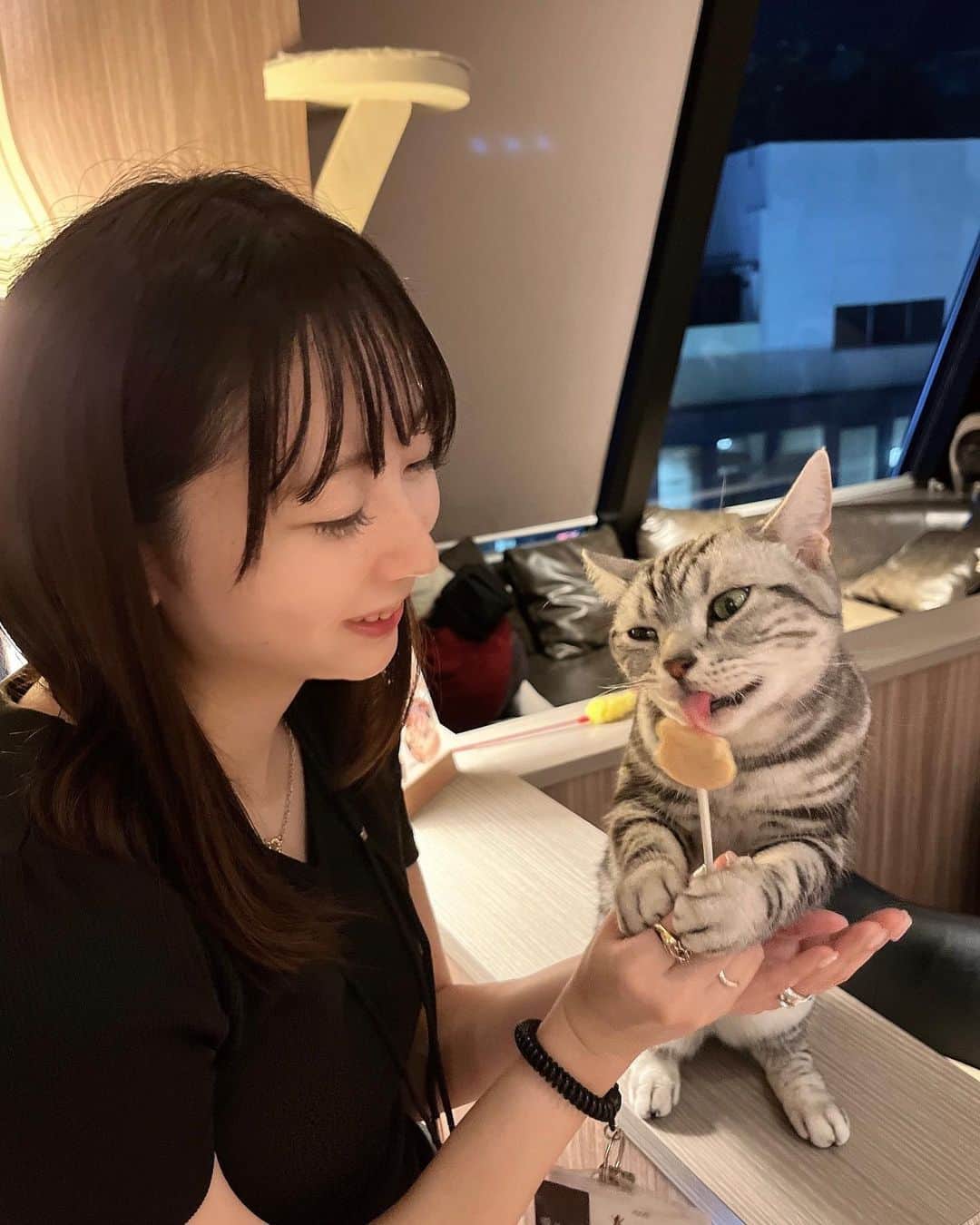 大崎菜々子さんのインスタグラム写真 - (大崎菜々子Instagram)「・ 猫カフェMOCHA渋谷センター街店さんに行ってきました🐱  たくさんの猫ちゃん達に囲まれる幸せ空間♡  人懐っこくてかわいい猫ちゃんたちに癒されてみて( ´,,•ω•,,`)♡  おやつを離すまいと必死な子がかわいかった🥺  充電器や漫画もたくさんあるので何時間でも居たくなるっ！✨️  ぜひ行ってみてね‪(っ ॑꒳ ॑c)  PR @catcafemocha #東京猫カフェ #癒されスポット #ねこのいるカフェ #猫カフェmocha #猫カフェ #渋谷カフェ #猫カフェmocha渋谷センター街店 #渋谷猫カフェ」9月27日 20時56分 - nanako_19970411