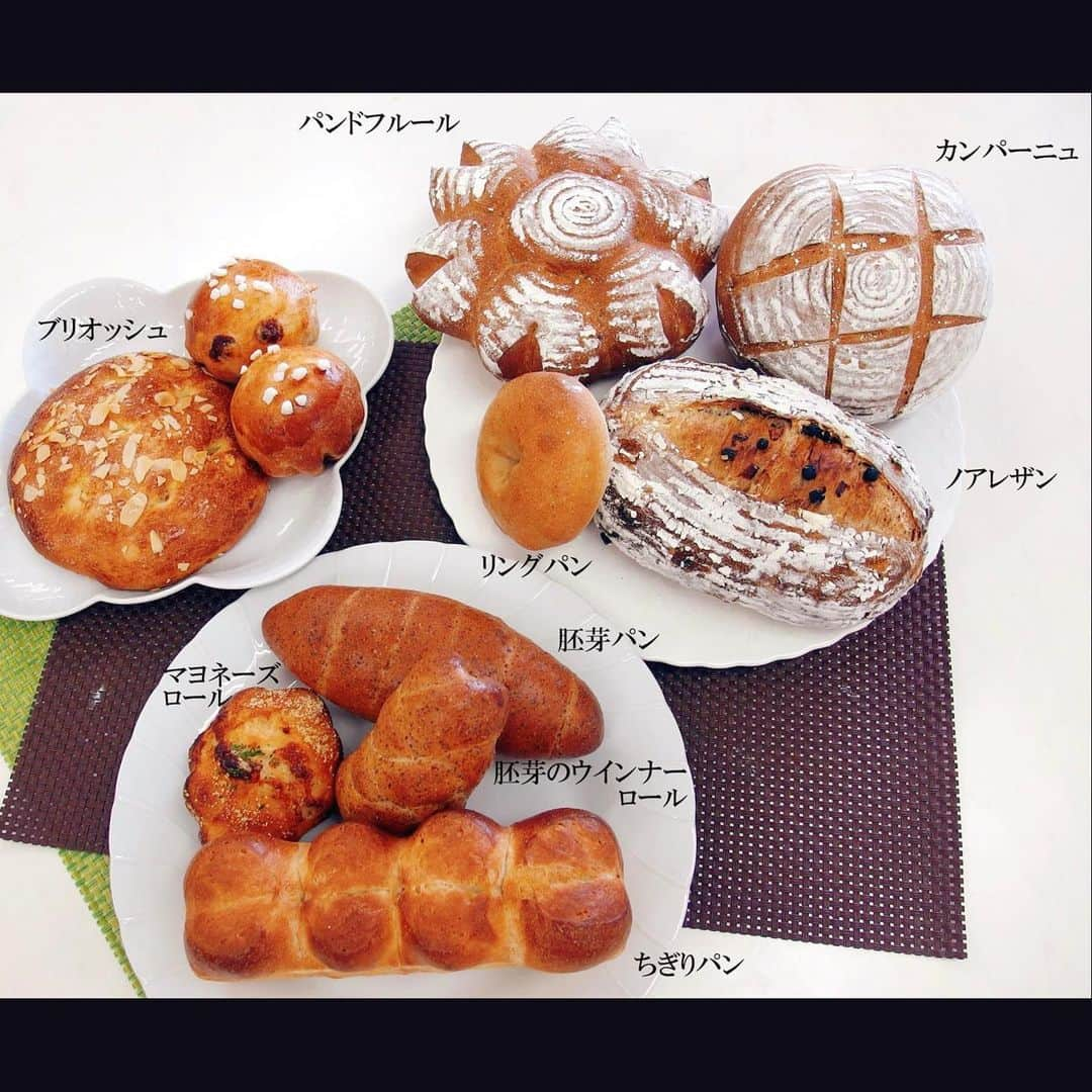 sakiさんのインスタグラム写真 - (sakiInstagram)「これまで作ったもの👩‍🍳 料理、イーストパン、天然酵母パン、ケーキ、和菓子、 パスタのお免状を頂いたので料理教室を開校できます❣️ (開校しないけど)  打ち立てが香りも食感もいいから 手間だけどパスタも蕎麦も製麺する🥱  なかなか酵母を育てるまでの気力が起きないけど 甘酒やヨーグルトも作ると美味しいから また余裕ができたら🫢🤍」9月27日 21時19分 - saki_0806