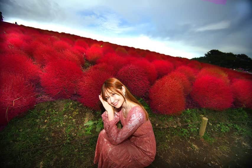 のインスタグラム：「10/2(月) 彼岸花🌹撮影会 ⁡ 初めて見る彼岸花！ ⁡ 平日ですがぜひ彼岸花と一緒に撮ってほしい📸🥰 ⁡ ハイライトから予約ページへ飛べます⭐️ ⁡ 彼岸花に合う衣装をネットで頼んだんだけど…当日までに届きますように🙏🥹 ⁡ ＊ ⁡ 10/29（日） 撮影会in東京都 また詳細出たら告知します✨️ ⁡ #彼岸花  #写真はコキア  #コキア #ひだか巾着田 #曼珠沙華 #ポートレート #平塚競輪  #競輪 #バンクエンジェル #ラウンドガール #3150fight #3150fightガールズ #貴族セクシー #boxing #ボクシング #格闘技 #abema #japan #japanese #桐谷流華  #撮影  #撮影会  #モデル  #グラビア  #pechemagazine  #pechemodel #tiktok  #model #ビジョビ  #美容好きな人と繋がりたい」