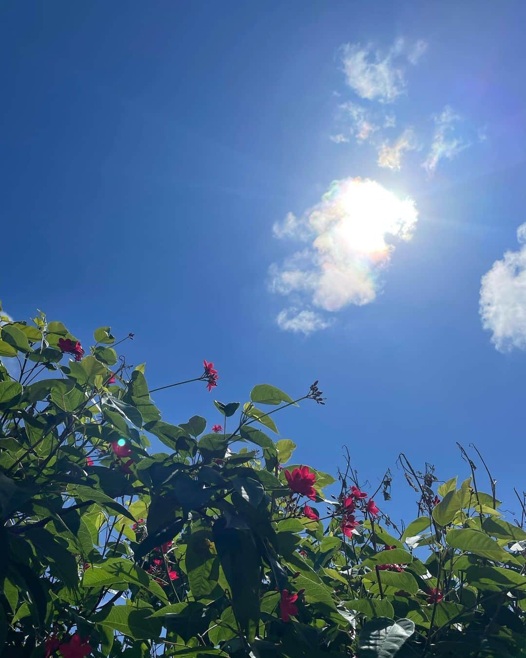 高木万平・心平さんのインスタグラム写真 - (高木万平・心平Instagram)「宮古島🌺」9月27日 21時42分 - man_shin_takagi