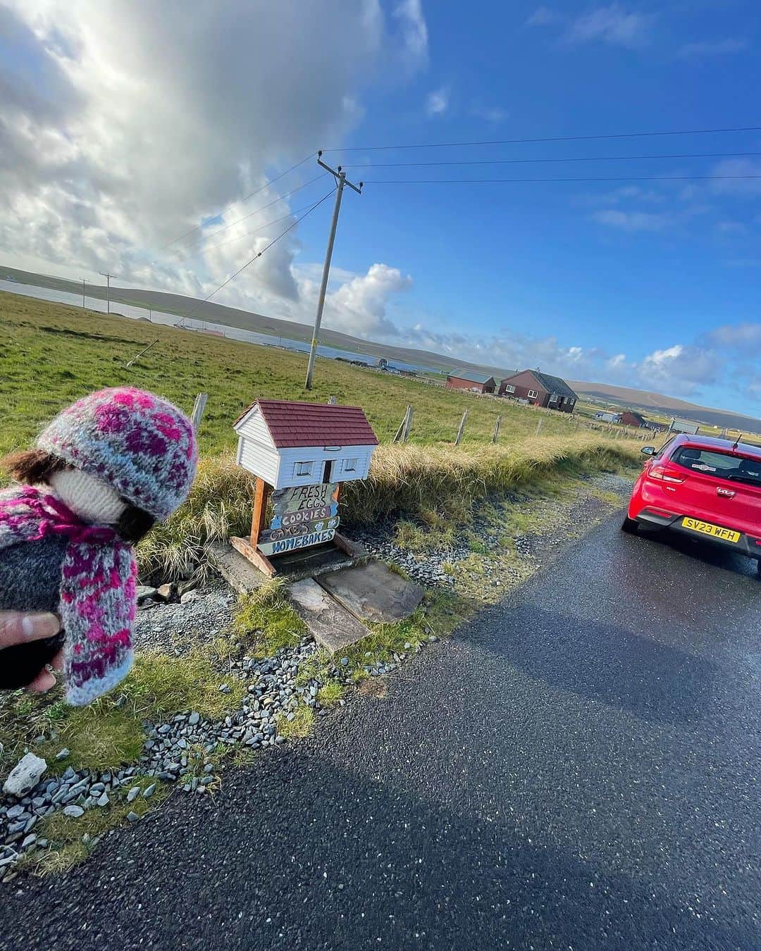 長久保智子さんのインスタグラム写真 - (長久保智子Instagram)「We are here! Unst 🩵  3度目のアンスト島は今までになくいいお天気✨ いちばん北の島です！ その島の中のいちばん北のティールームはお気に入りの場所🩵  #shetland #shetlandwoolweek #shetlandwoolweek2023」9月27日 21時55分 - satoko.tricot_the